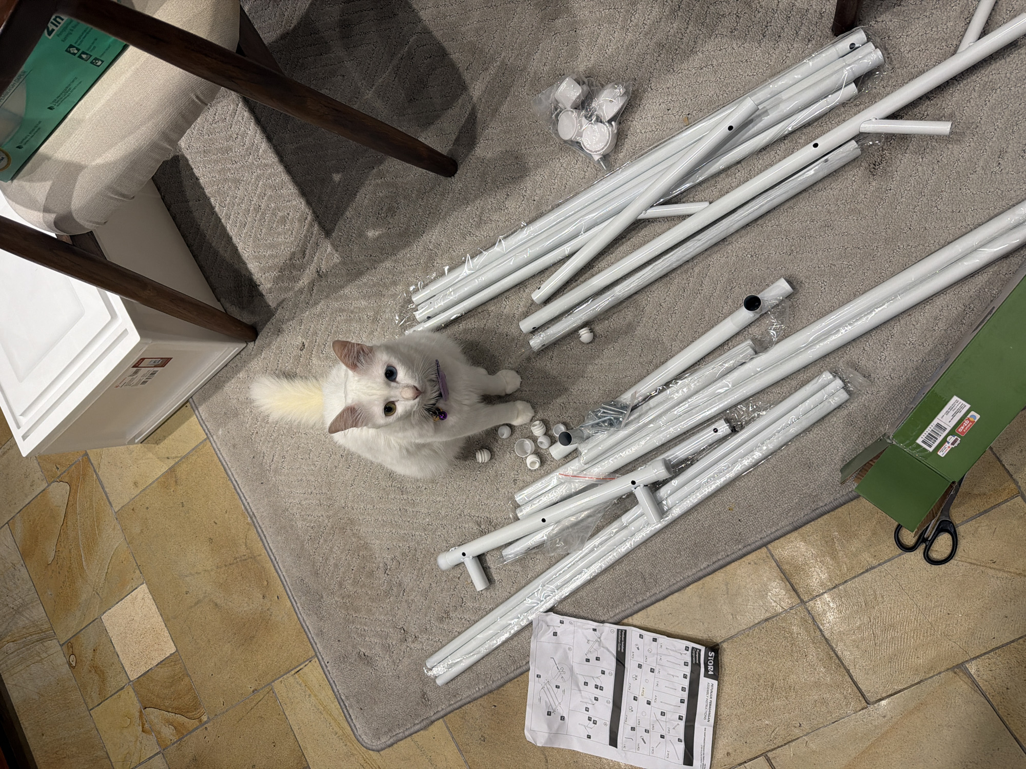 A top-down view shows a domestic setting. A white cat with heterochromia (different-colored eyes) sits amidst a pile of white metal poles, hardware in small plastic bags, and an instruction manual on a gray rug. The rug sits partially on a tiled floor. The cat wears a purple collar with a bell. The poles appear to be parts of a disassembled structure. A green box and a pair of scissors lie near the poles. A white box sits on the left edge of the image, adjacent to the rug, with a chair leg extending into the scene.