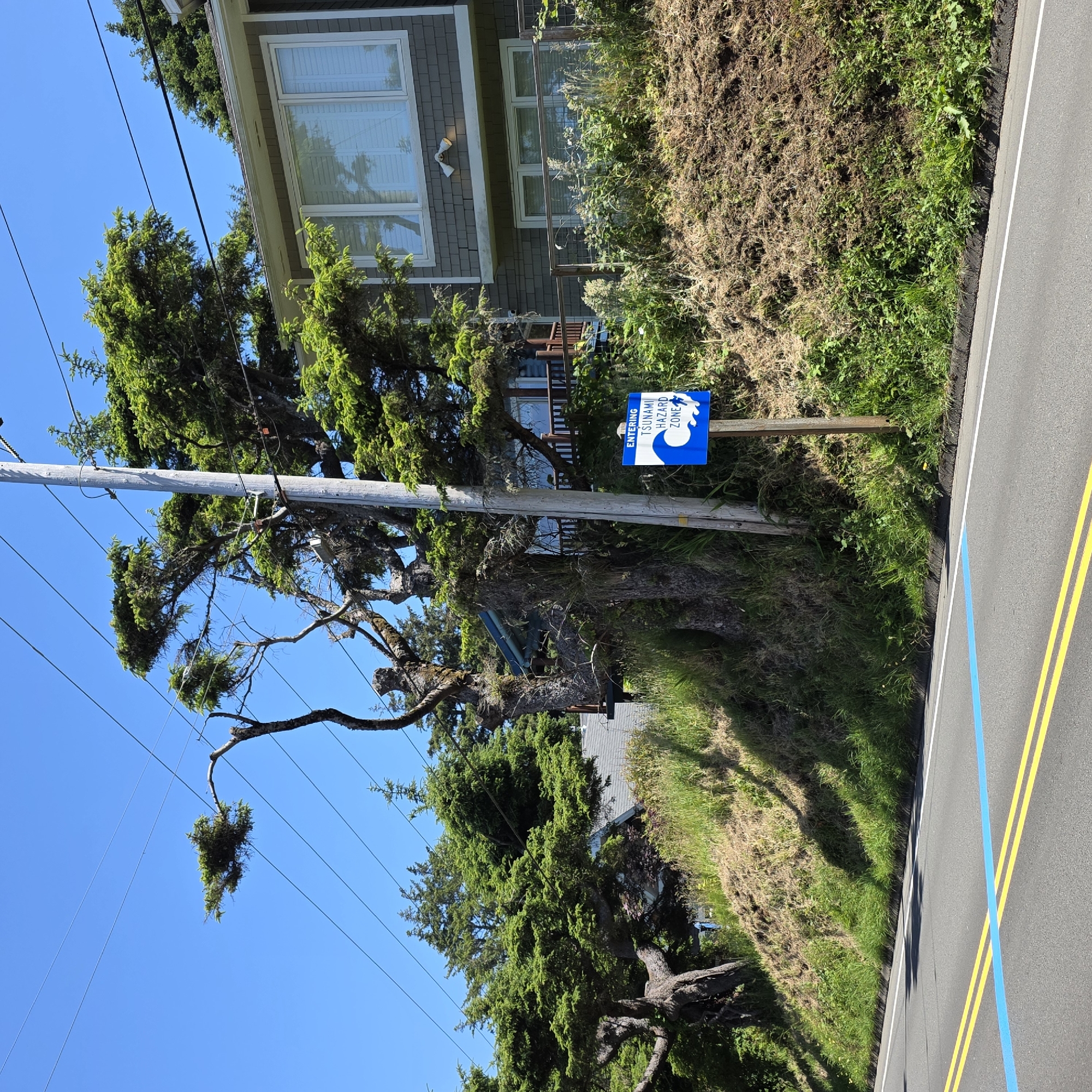 The image depicts a roadside scene in Cannon Beach, Oregon, United States of America, under a clear blue sky. The foreground shows an asphalt road with double yellow lines and a blue stripe. The road is bordered by a grassy embankment on the right.
On the embankment, a wooden pole supports a blue sign indicating "ENTERING TSUNAMI HAZARD ZONE" with a wave and running figure graphic. Behind the embankment, a modern house with gray siding and large windows is visible, partially obscured by lush green trees. Some of these trees have gnarled, weathered trunks and branches, suggesting age and exposure to coastal conditions. Power lines stretch across the upper portion of the image, strung between utility poles. The overall impression is one of a coastal community living with the awareness of natural hazards.