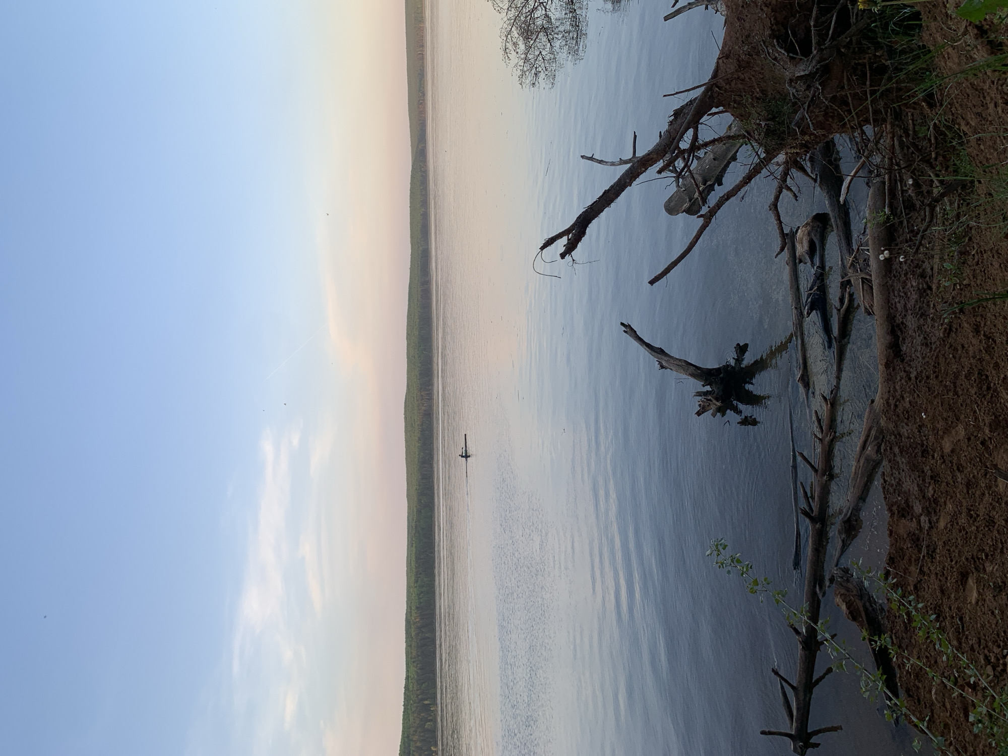The image depicts a body of water, possibly the Kama River, near the city of Chaikovsky, Russia. The right side of the frame shows a dirt embankment with exposed tree roots extending into the water. Several dead tree limbs are partially submerged. In the distance, across the water, is a tree-lined shoreline. A small dark figure is visible in the center of the water, potentially a person in a small boat or kayak. The sky is a gradient of blue to pale orange, suggesting either sunrise or sunset.