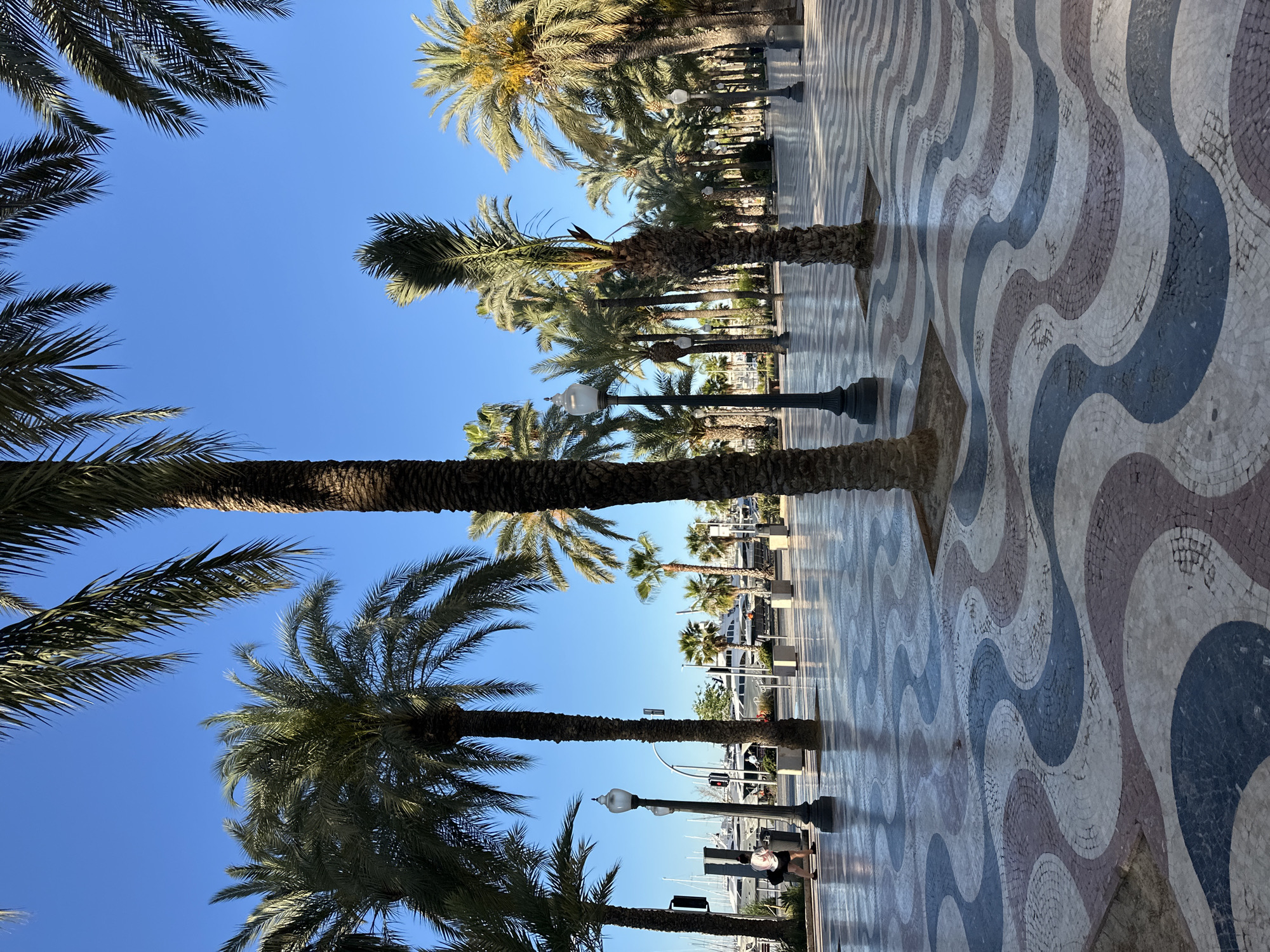 The image depicts a promenade in Unknown, featuring a distinct mosaic-patterned walkway. Palm trees line the promenade, interspersed with lampposts. Distant yachts and buildings are visible in the background. The clear blue sky suggests a sunny day.