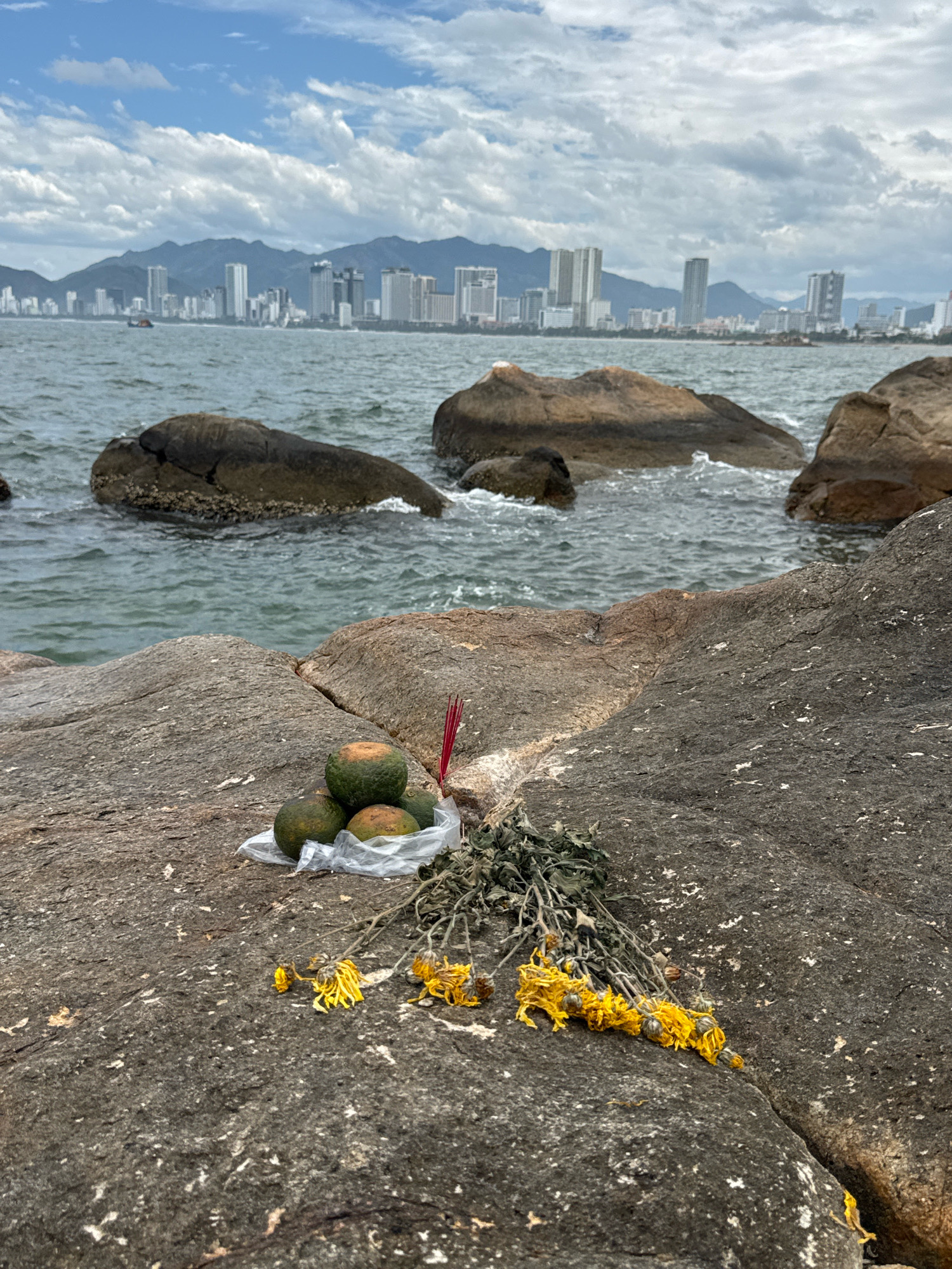 A still life composition is set against the backdrop of the ocean and the Nha Trang skyline. In the foreground, on a dark, rough-textured rock, a collection of offerings are arranged. Three green, spherical fruits, likely pomelos, are grouped together within a clear plastic bag. Beside them, a bundle of dried yellow flowers with some green foliage rests on the rock. A single red incense stick is placed upright near the fruits. In the midground, several large, dark, weathered rocks are partially submerged in the choppy, grey-blue ocean. Beyond the water, the city of Nha Trang is visible, characterized by a dense cluster of modern high-rise buildings and residential structures stretching along the coast, with a mountain range forming a natural barrier behind the urban landscape. The sky above is a mix of white, fluffy clouds against a pale blue expanse.