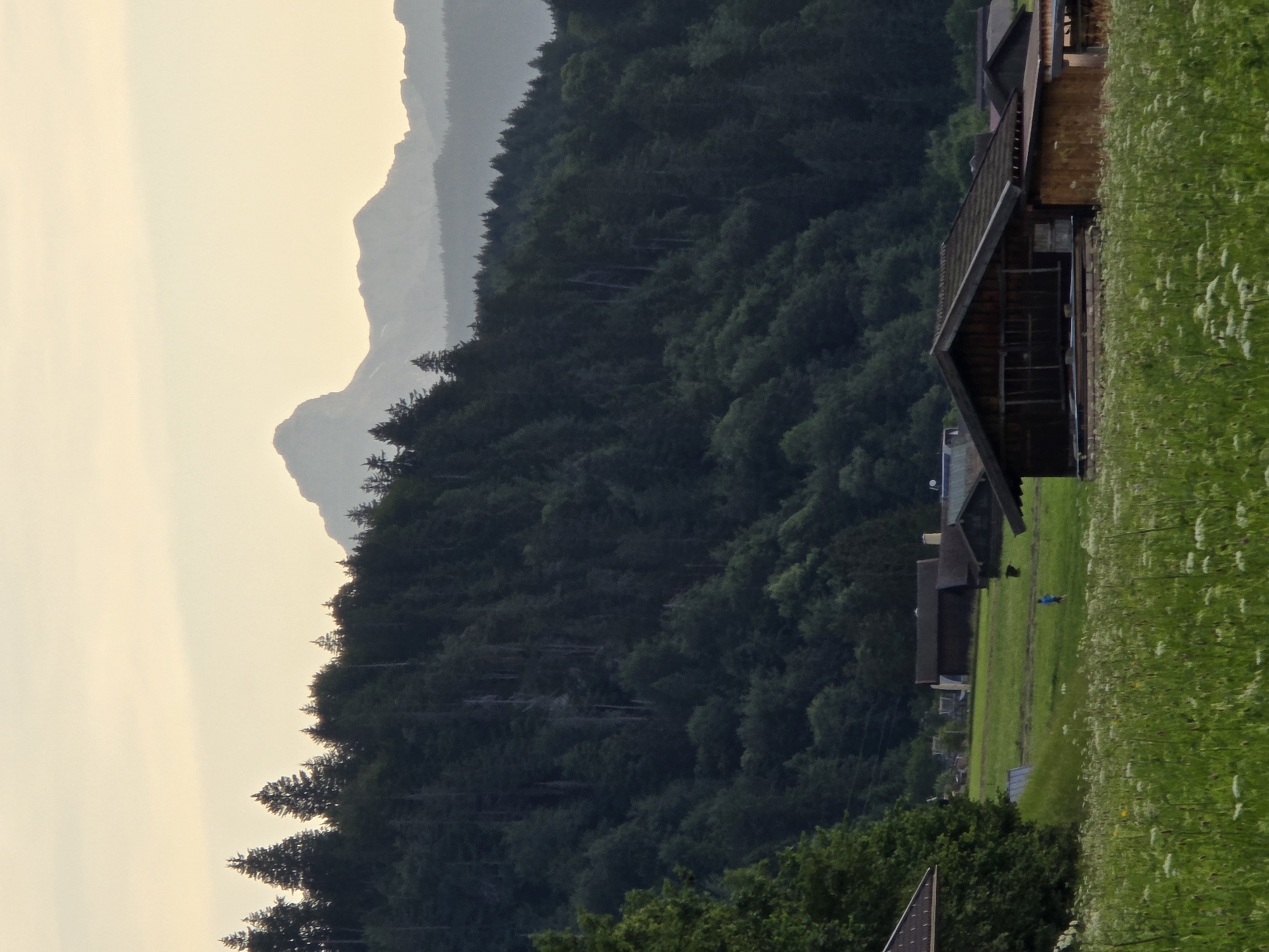 The image depicts a rural landscape with a distinct mountain range in the background and a foreground featuring a field of wildflowers and several wooden structures. The sky is a pale yellow, suggesting either sunrise or sunset. A dense forest of evergreen trees covers the slopes of the mountains. In the middle ground, there is a green field with several scattered buildings, including what appears to be a barn or shed and a house. A single person, wearing a blue shirt, is visible in the field, walking.
The scene is indicative of a location in or near Garmisch-Partenkirchen, Germany, known for its alpine scenery and traditional Bavarian architecture. The prominent mountain peak in the background is characteristic of the Wetterstein Mountains, which dominate the skyline of Garmisch-Partenkirchen. The wooden structures and the expansive natural landscape are consistent with the rural areas surrounding the town.