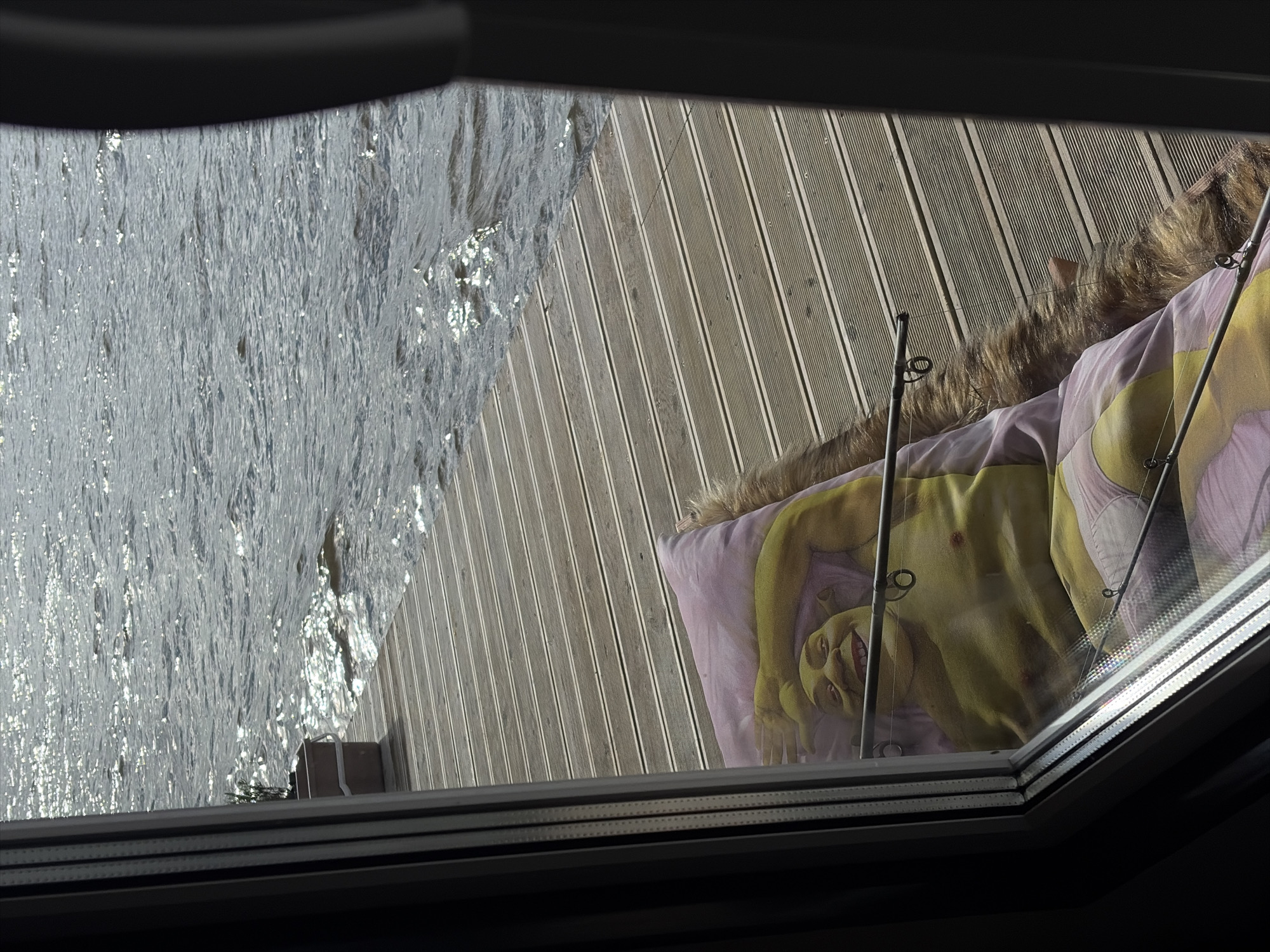 A first-person perspective shot captures a view through a window towards a wooden pier next to a body of water. The pier is empty except for a fluffy, light brown rug and a pink pillow with a depiction of Shrek printed on it. Shrek is shown with his arm raised, a wide grin, and light pink shorts. Two fishing rods rest on the pier, one positioned across the pillow and the other along the edge of the rug. The water is choppy and reflects sunlight. A small plant in a pot is visible on the left side of the pier. The scene is set in Vidogoshchi, Russia.