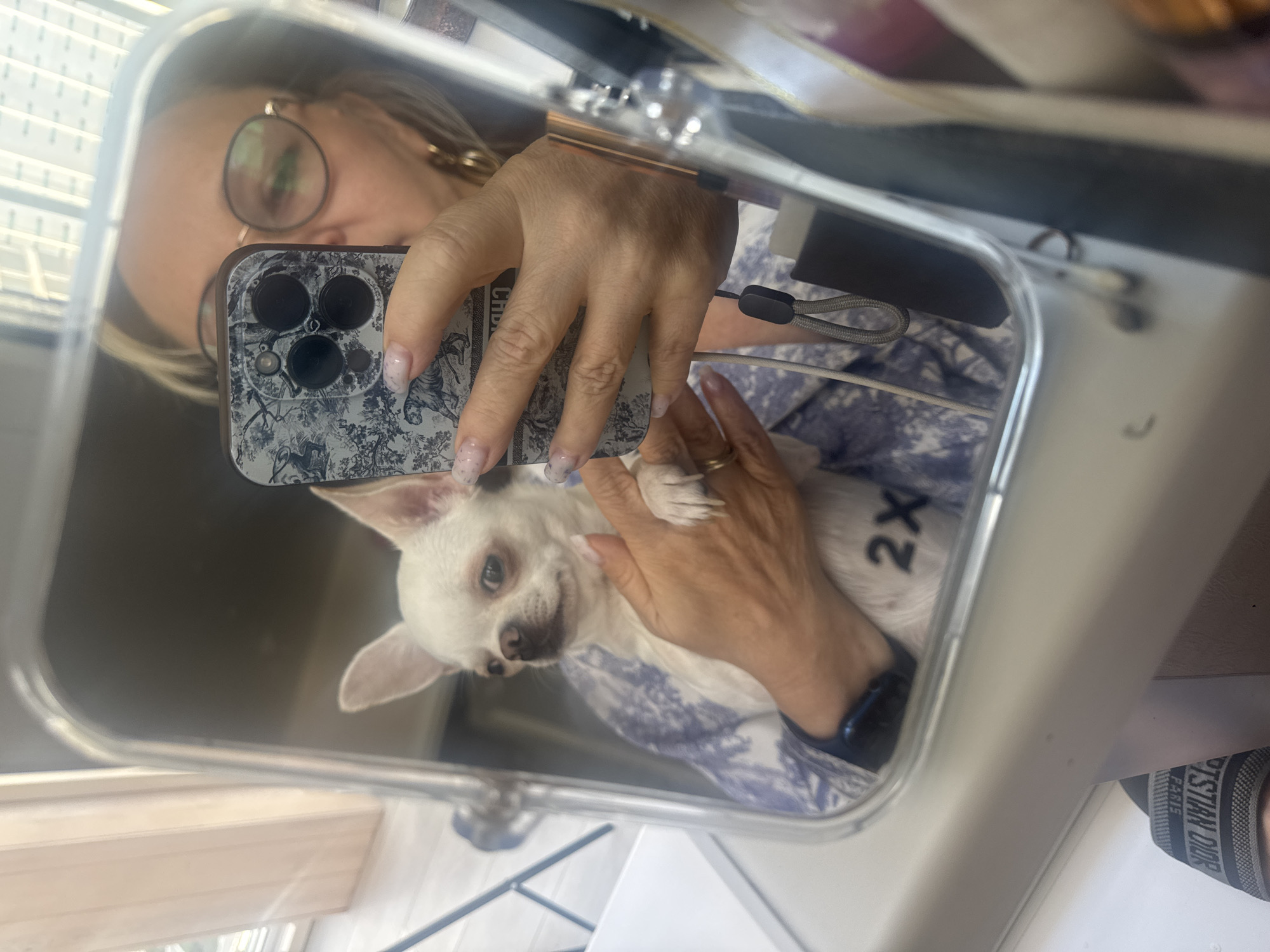 A reflection in a mirror shows a white Chihuahua dog being held by a person wearing glasses and a blue and white patterned shirt. The person is holding a smartphone in their right hand, pointed towards the mirror to take the photo. The dog is looking to the left. The background is blurred and appears to be an indoor setting with windows. The word "2X" is visible on the dog's shirt.