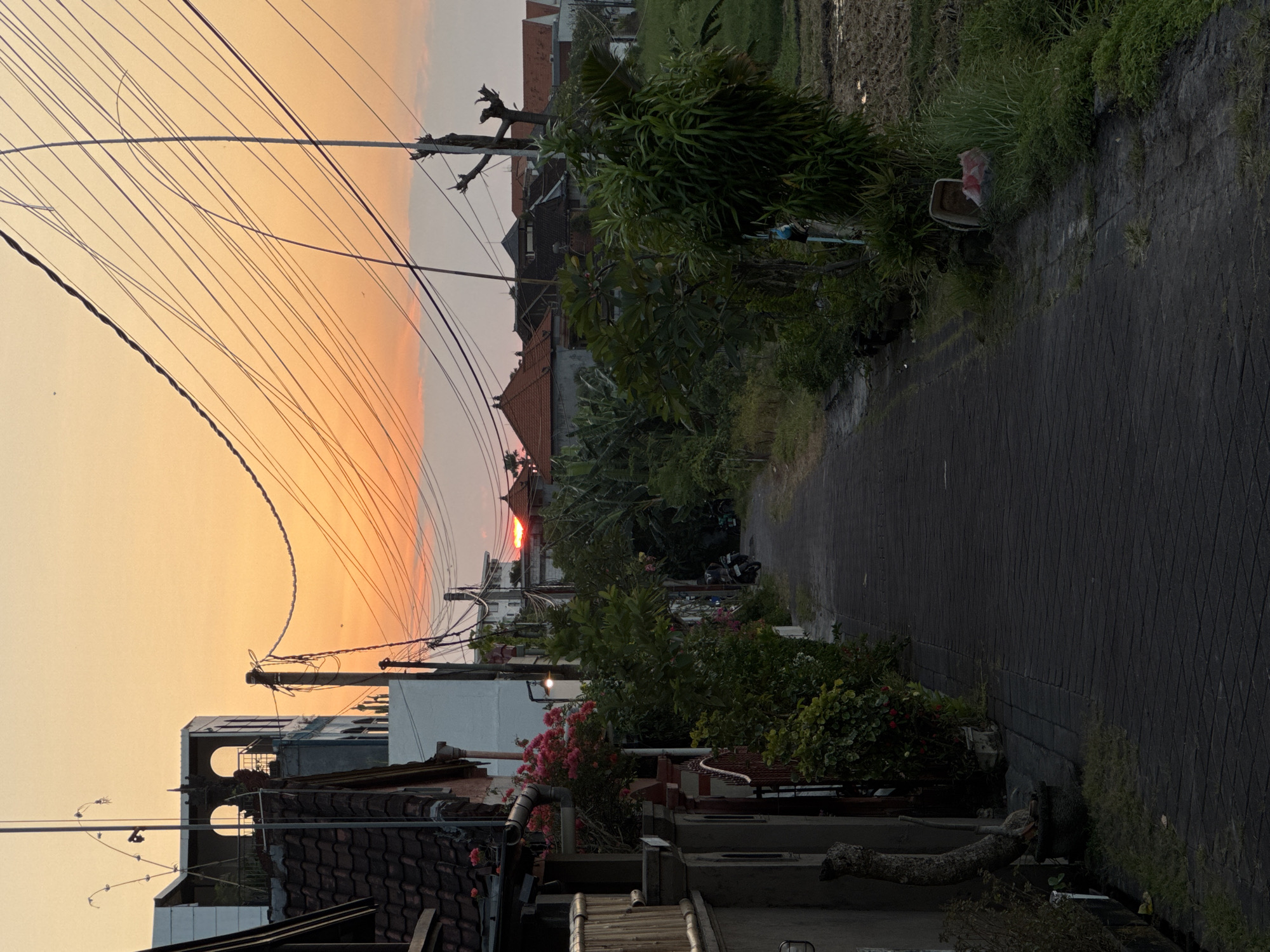 The image depicts a narrow, paved pathway in a semi-urban or rural residential area of North Kuta, Indonesia, during either sunset or sunrise. The sun's disk, appearing as a fiery orange arc, is partially visible above a distant horizon line, casting a warm orange and yellow glow across the sky. A dense network of black overhead utility lines and poles crisscrosses the upper frame, contrasting against the illuminated sky.
On the left side of the pathway, a series of single and two-story residential buildings with reddish-brown tiled roofs and light-colored walls are visible. These structures are partially obscured by lush green foliage, including vibrant pink bougainvillea and other potted plants lining the path and building frontages. Architectural details include a decorative stone gate pillar and, further back, a white multi-story building with arched openings on its upper level. A street light with a visible glow is mounted on a pole near the center-left.
The right side of the pathway features dense tropical vegetation, including various trees and shrubs, which gradually recedes to reveal a portion of a rice paddy or agricultural field. This field appears to be dry in parts with some standing water. A prominent, bare, and heavily pruned tree trunk stands in the mid-ground on this side, with another utility pole nearby. Further down the path, multiple houses with traditional tiled roofs are visible behind the field. Some debris, possibly a white container with a red bag, is discarded in the grass beside the path on the right.
The pathway itself is constructed from dark grey interlocking pavers, showing slight variations in shade, suggesting it might be damp. It extends into the distance, narrowing and curving slightly to the right, where two parked motorbikes are partially visible. No people are actively present or visible in the immediate foreground or mid-ground of the scene. The overall environment suggests a tranquil moment in a tropical residential setting, characterized by a mix of human habitation and natural elements.