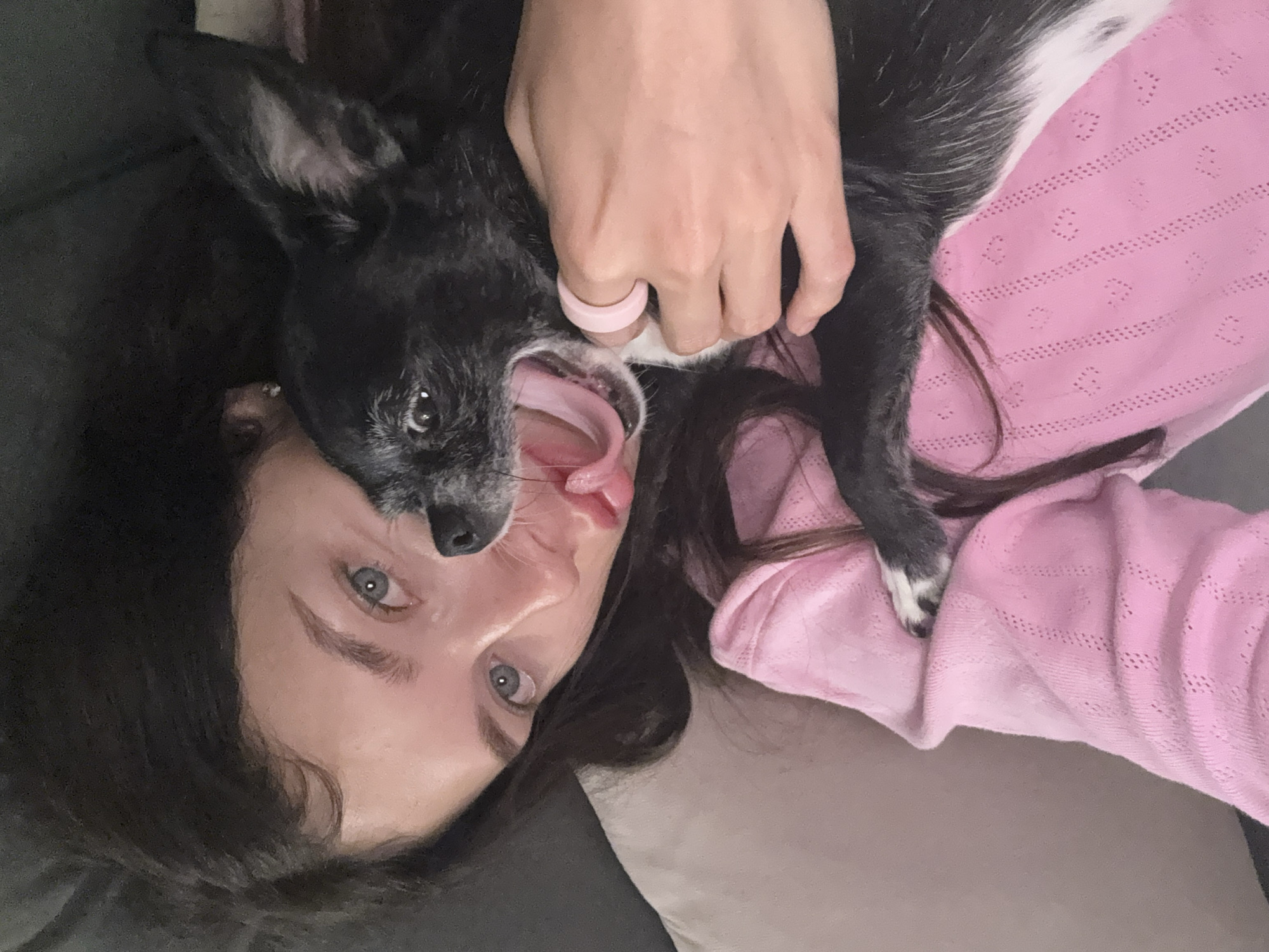 An overhead close-up shot captures a young woman and a small dog indoors in Givatayim, Israel. The woman, with dark hair and light blue eyes, is positioned on the left, looking directly at the camera. She is wearing a light pink, intricately patterned garment. Her left hand is visible, holding the dog, and a pink silicone ring is present on her ring finger. The dog, a black and white small breed exhibiting a graying muzzle, is depicted mid-yawn or vocalization, with its mouth wide open and pink tongue extended, situated in close proximity to the woman's face. The immediate background comprises muted-toned, upholstered material.