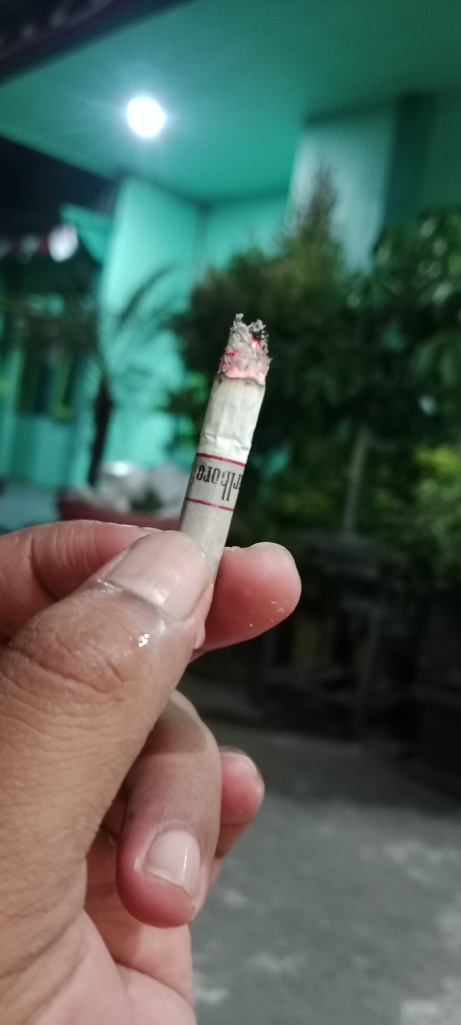 A close-up shot captures a hand holding a lit cigarette in Tuban, Indonesia. The cigarette, a Marlboro brand, is positioned vertically, with its glowing red tip indicating it is actively burning. The hand, with its skin appearing slightly moist, is in the foreground, partially obscuring the cigarette filter. In the background, a dimly lit environment is visible, characterized by a teal-colored ceiling and hints of greenery from trees. The scene suggests an outdoor setting, possibly a porch or balcony, at dusk or night.
