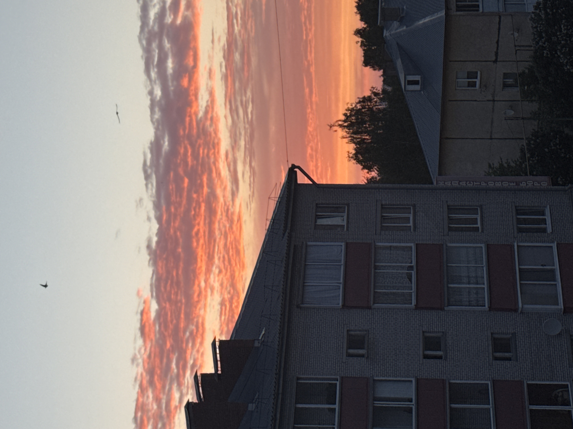 A bird flies in front of a sunset sky with pink and orange clouds above a building. The building has several windows with dark red shutters, and a gray roof. Another building is partially visible above it with a gray roof and several windows with the word "МИНСЕЛЬХОЗПРОД" written above the building. Based on the details, the location is likely Zav'yalovo, Russia.