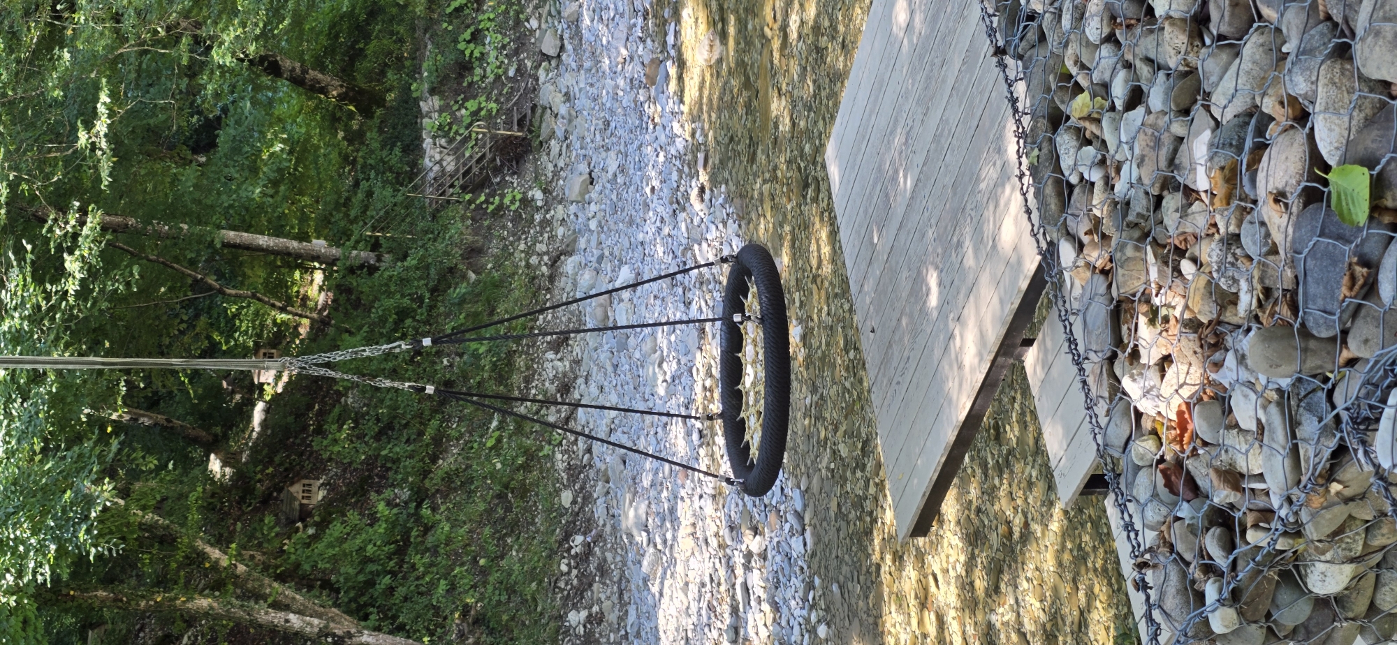 An aerial tire swing hangs over a shallow, rocky river in Shirokaya Schel, Russia. The swing, suspended by chains from an unseen support, features a black tire rim with a woven yellow interior. A wooden platform extends from the right side of the image, partially over the water. The riverbed is filled with smooth, light-colored stones. The background is a densely wooded hillside, with lush green foliage and trees. Sunlight dapples through the leaves, creating shadows on the ground and water. A gabion wall filled with rocks lines the foreground, partially obscuring the lower edge of the wooden platform.