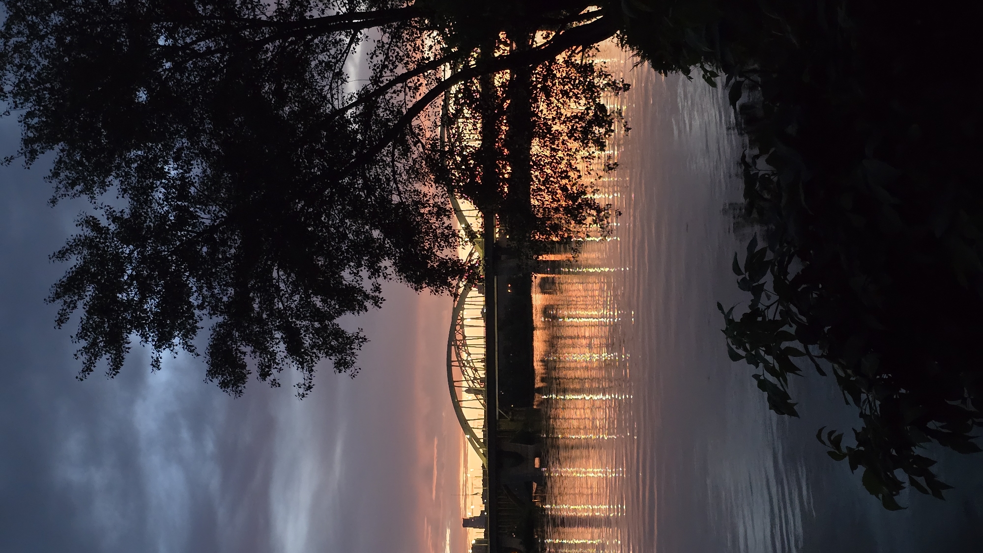 The image depicts a bridge over a river at dusk. The sky is filled with dramatic clouds, tinged with the colors of sunset. The bridge, with its arched structure, is illuminated by lights, and these lights are reflected on the water's surface, creating a shimmering effect. In the foreground, the silhouette of a tree and some foliage are visible, partially obscuring the view of the bridge and river. The overall impression is one of a serene and atmospheric evening scene. The bridge appears to be the Darnitsky Bridge in Kyiv, Ukraine, a major railway bridge spanning the Dnipro River.