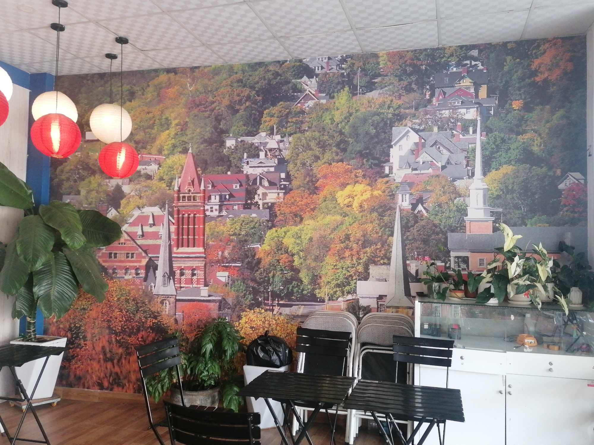 The image depicts an indoor space, likely a café or restaurant, in what is likely Da Lat, Vietnam, given the architectural style on the wall.
**Environment:**
* The space is indoors, with a tiled ceiling.
* The floor is wooden.
* The back wall is covered in a large mural depicting a cityscape nestled in an autumn landscape, featuring buildings with distinct architectural styles reminiscent of Europe or North America.
**Objects:**
* Several pieces of black metal outdoor-style furniture, including chairs and tables.
* A white cabinet with a glass display case on top. The display case holds various plants in pots.
* Various potted plants are placed in front of the mural.
* A large plant in a white planter stands to the left.
* Overhead, there are pendant lights with spherical paper lanterns, some red and some white.
* A black plastic bag sits next to the plants.
**Composition and Lighting:**
* The composition focuses on the interaction of the indoor space with the outdoor-themed mural.
* The lighting appears to be a mix of artificial and natural light from an unseen source.