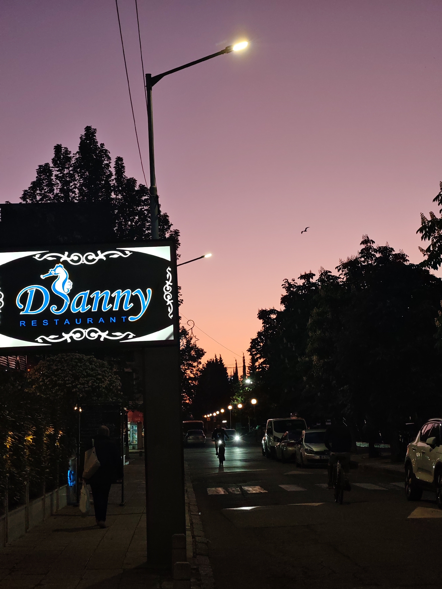 A twilight scene in Nesebar, Bulgaria, captures a street at dusk. A sign for "Danny Restaurant" with a seahorse emblem is prominently displayed. A person walks along the sidewalk in front of the restaurant. The street is lined with parked cars and pedestrians, including someone on a bicycle. Streetlights illuminate the scene. The sky transitions from orange to purple, with silhouetted trees visible in the background.