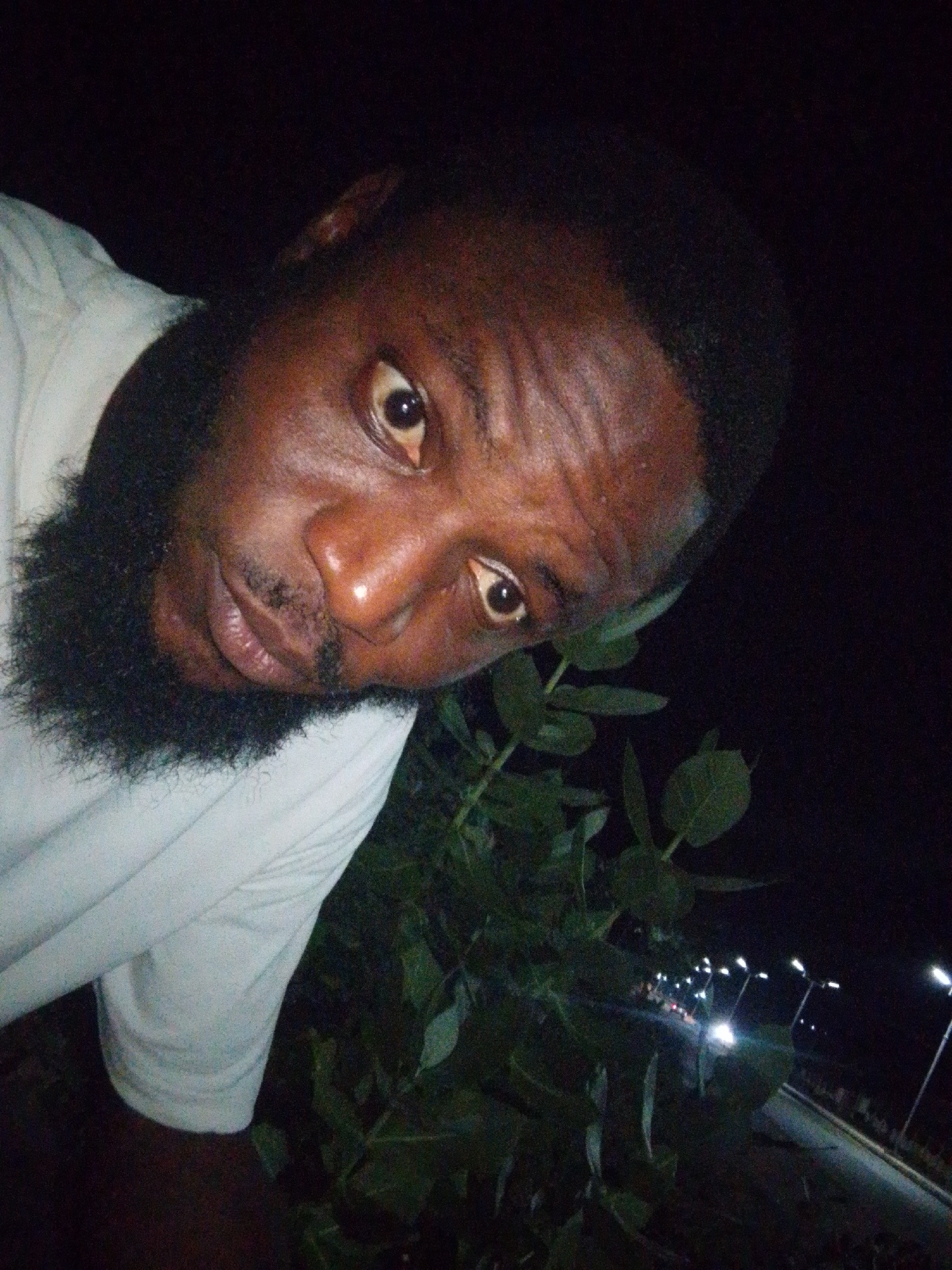 The image captures a close-up, angled portrait of a man with dark skin and a full, dark beard, wearing a white short-sleeved shirt. His face is tilted slightly, and he looks directly at the camera with wide, expressive eyes. His skin has a smooth texture with some light reflections, indicating a direct light source, likely a camera flash, against the dark environment.
Green foliage and leaves are visible in the foreground and along the right side of the frame, partially obscuring the background. Beyond the foliage, a street or road is visible in the distance, illuminated by multiple bright streetlights extending into the dark night. The distinct glow of what appear to be vehicle headlights can also be seen further down the road, suggesting ongoing traffic.
The scene takes place at night in Lokoja, Nigeria, characterized by the artificial lighting and overall darkness. The man's direct gaze suggests he is posing for the photograph. No discernible text is visible in the image.