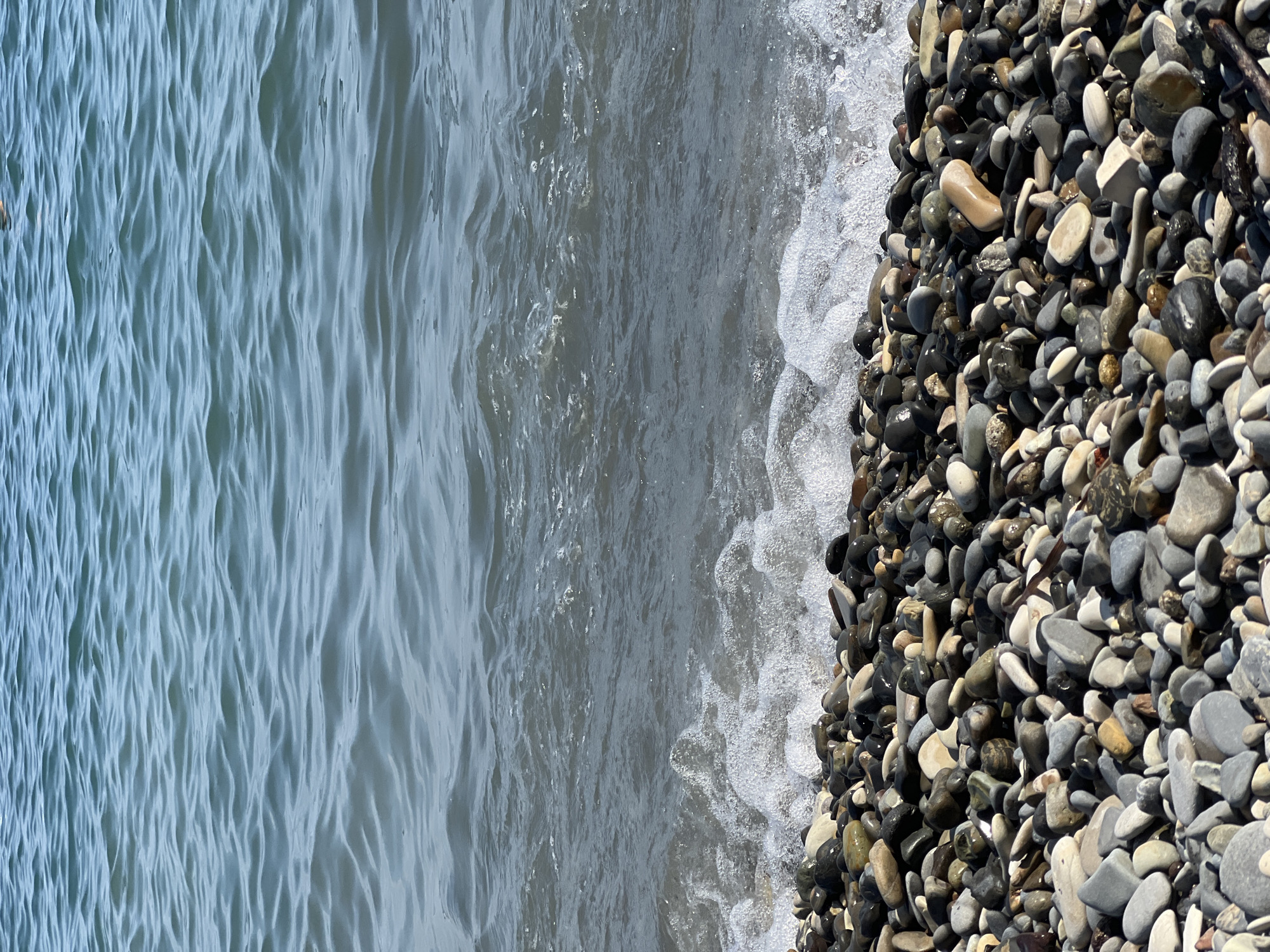 This is a vertical, eye-level, close-up shot of a pebble beach in Tuapse, Russia. The image is dominated by the sea and the beach. The upper two-thirds of the frame are filled with the calm, blue-green water of the sea, with small, gentle waves creating ripples on the surface. The lower third of the image is a close-up of the beach, which is covered in smooth, varied-sized pebbles of different colors, including black, grey, white, and brown. A small wave is breaking on the shore, creating a frothy white foam that washes over the pebbles. The lighting suggests it is daytime, likely sunny, as indicated by the highlights on the wet pebbles and the clarity of the water. There are no people or animals visible in the frame. The scene is natural and serene.