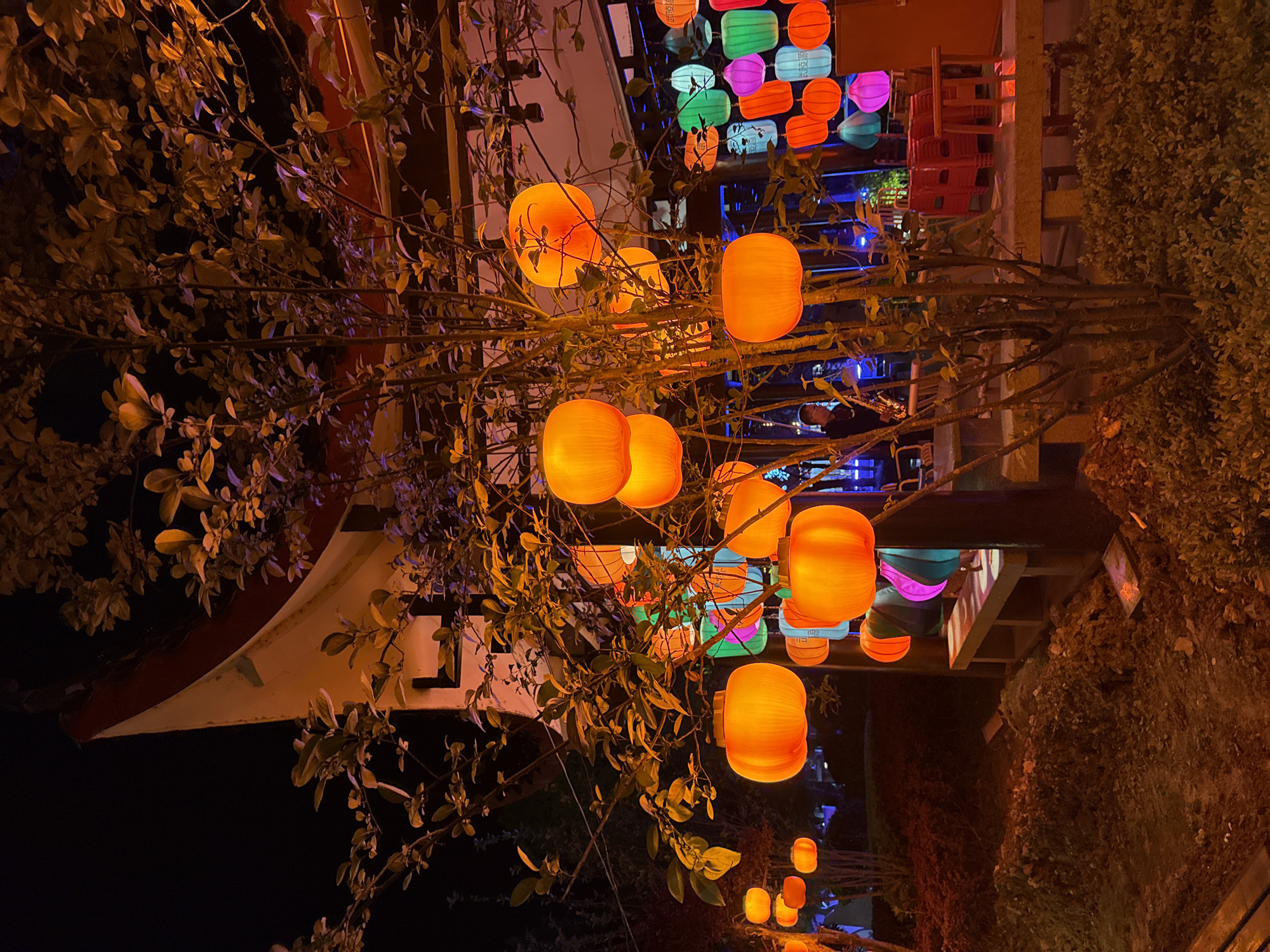 The image displays a vibrant night scene, rotated 90 degrees clockwise, rich with illuminated lanterns and foliage, likely depicting an outdoor festival or decorative display in Wulingyuan, China.
In the foreground, numerous glowing orange lanterns, shaped like gourds or simple cylinders, hang among the branches of a tree. The leaves on these branches are subtly illuminated by the warm light from the lanterns.
Beyond the immediate foliage, a more extensive display of colorful lanterns fills the background. These lanterns come in various shapes and sizes, showcasing hues of green, pink, blue, white, and additional orange. Some of these lanterns feature indistinct Chinese characters. Visible on a light blue lantern is faint text that appears to include "HDT" and "102."
Amidst the colorful lights and branches, a person can be seen in the mid-ground, partially obscured, playing a saxophone or a similar wind instrument, suggesting live entertainment. Architectural elements are also discernible in the background, including the white, sweeping edge of what appears to be a boat-like roof structure on the far left, and stacked red plastic chairs. Dense green bushes contribute to the natural setting on the right side of the frame.
The overall scene is set at night, with the lanterns providing the primary source of illumination, creating a festive and inviting atmosphere.