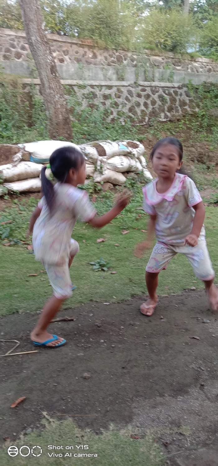 Two young East Asian girls are engaged in an active interaction outdoors in Ranugedang, Indonesia. The girl on the left, with dark hair in a ponytail and wearing a light-colored, patterned short-sleeved top and shorts with blue flip-flops, is in a crouched stance with her left arm raised and extended forward, appearing to throw a handful of small debris or dirt. The girl on the right, with dark hair down and wearing a similar light-colored, patterned short-sleeved top with a pink collar and matching shorts, has a pink flip-flop on her right foot and her left foot bare, and is leaning forward with arms slightly raised, seemingly reacting to the action of the other girl.
The immediate ground beneath them consists of a dark brown dirt path with scattered small debris and patches of green grass to either side. In the background, to the left of the dirt path, a stack of multiple white sacks, some appearing full of soil or similar material, is visible. Behind these, a large tree trunk stands vertically. Further back, a multi-tiered retaining wall constructed from field stones and concrete is partially obscured by dense green foliage and bushes. The overall environment is an outdoor, semi-natural setting under daylight conditions.