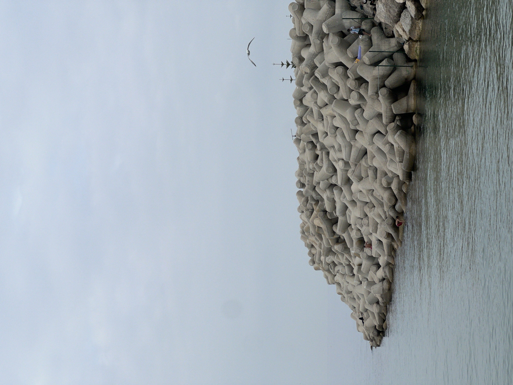 The image, taken in M'Diq, Morocco, captures a coastal scene dominated by a long breakwater made of numerous grey concrete tetrapods. This substantial man-made structure diagonally traverses the frame from the upper right corner towards the bottom center, separating a calm, greyish-blue body of water on the right from a pale, overcast sky on the left.
Several individuals are present on the breakwater. One person, wearing blue trousers and a striped shirt, is seated on a higher, rockier section towards the upper right, seemingly observing the surroundings or engaged in an activity like fishing. Another person, possibly in red attire, is visible lower down among the concrete blocks, closer to the water's edge. Further along the breakwater, a few other indistinct figures can be discerned.
A light-colored bird, likely a seagull, is captured mid-flight against the expansive sky, positioned above the breakwater. A smaller, darker bird is also visible near the water level at the base of the breakwater. Small vertical markers or poles are sparsely distributed along the top of the concrete structure.
The weather appears to be overcast, indicated by the diffused lighting and the absence of strong shadows. The water is calm with gentle ripples, reflecting the soft light from the cloudy sky. The scene depicts a functional coastal defense integrated with human presence, suggesting a tranquil and accessible public space. No discernible text is visible in the image.
