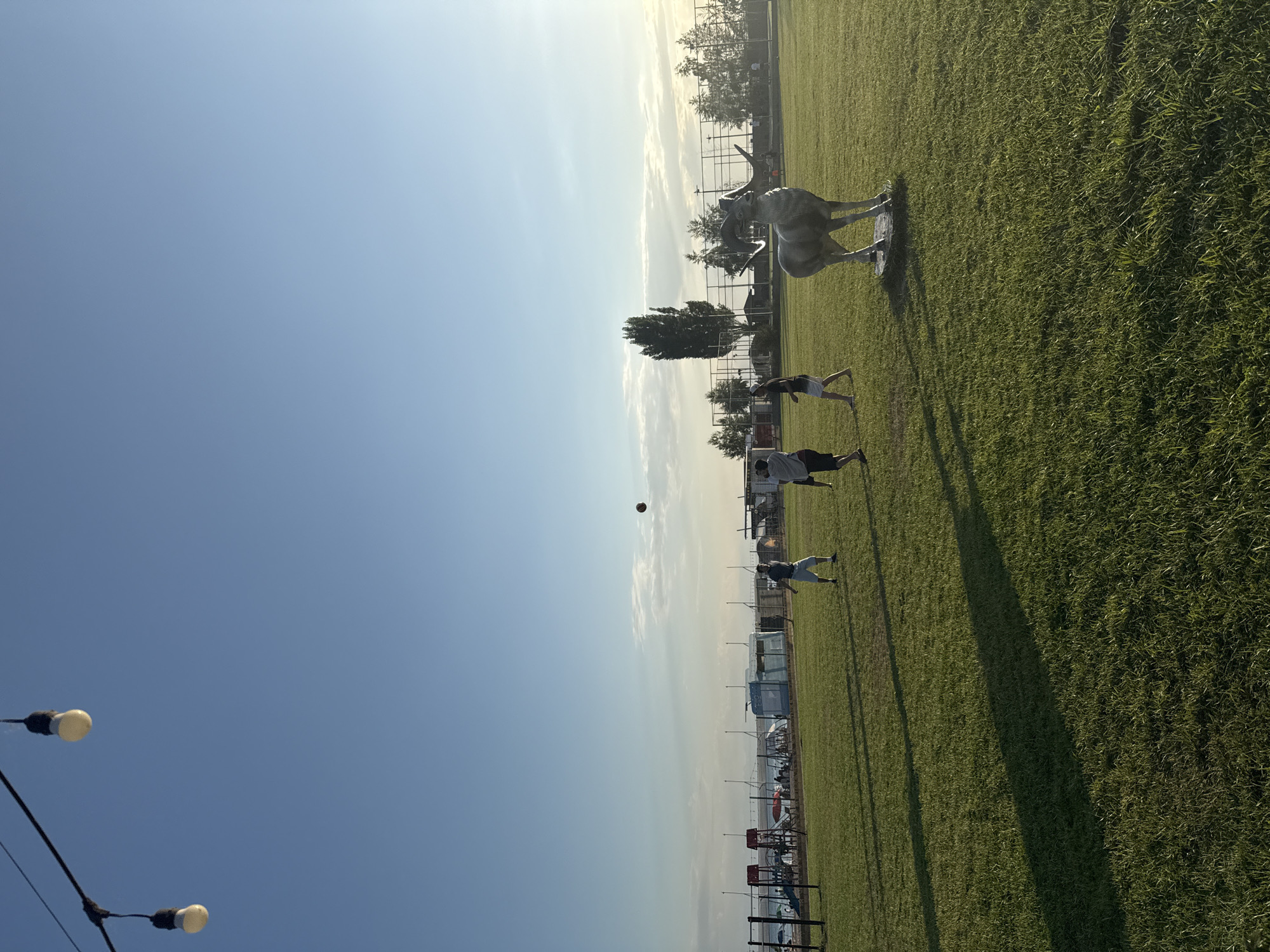 The image depicts an outdoor scene in Sary-Oy, Kyrgyzstan, featuring a grassy field under a clear blue sky with a few scattered clouds. In the foreground, the grass is illuminated by the warm light of the setting sun, casting long shadows. Several individuals are visible in the middle ground, engaged in an activity that appears to be a game of catch with a ball, which is suspended in mid-air. To the right, a statue of a ram with prominent horns stands on a stone base. In the background, a line of trees, a fence, and some structures, possibly related to recreation or park facilities, are discernible. The overall atmosphere suggests a recreational area by a body of water, given the distant view of what could be mountains and shoreline.