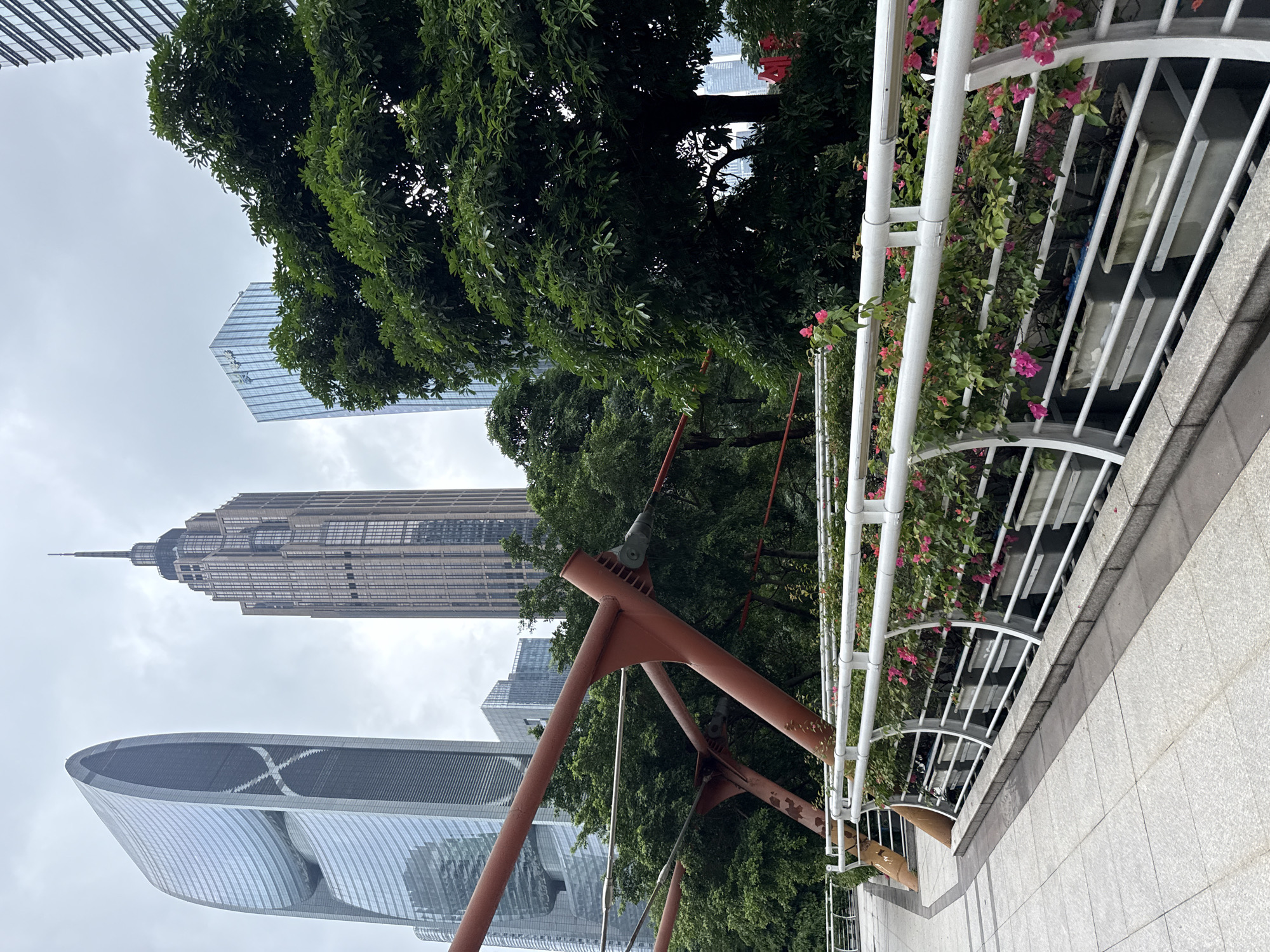 A photograph taken on a cloudy day in Tianhe District, China, captures a modern urban landscape with a focus on architecture and greenery. In the foreground, a paved walkway with a light gray tile pattern leads the eye towards a white metal railing adorned with planters filled with vibrant pink flowers and lush green foliage. This railing forms a barrier along the edge of an elevated pathway or bridge. Behind the railing, thick green trees dominate the mid-ground, their branches obscuring parts of the cityscape. A distinctive reddish-brown metal structure, likely part of the bridge's infrastructure, is visible amidst the trees, with cables attached to it.
The background showcases a cluster of impressive skyscrapers. To the left, a sleek, curved glass skyscraper with a prominent X-shaped design stands out. Next to it, a taller, classic-style skyscraper with a dark, ribbed facade and a pointed spire dominates the center. To the right, another modern glass skyscraper with a grid-like pattern is partially visible, partially hidden by trees. The sky is overcast, with a uniform gray hue. No people are visible in the frame. The scene suggests a blend of urban development and natural elements, characteristic of a contemporary city park or a well-designed public space within a business district.