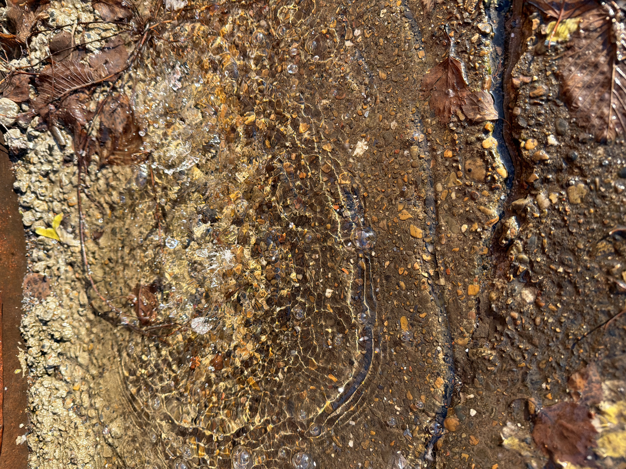 This image displays a close-up, overhead view of shallow, clear water actively disturbed by ripples and small splashes, located in Votkinsk, Russia. The water covers a substrate composed of multi-colored pebbles and sand, primarily in hues of brown, tan, and orange-yellow. Numerous small air bubbles are visible on the water's surface and within the liquid. Scattered across the submerged and wet ground are several brown, desiccated leaves and fragments of organic debris. A dark, textured edge, consistent with concrete or rusted metal, is partially visible along the top perimeter of the scene. The entire area is illuminated by strong natural light, generating distinct reflections on the water's surface. No human figures or direct interactions are present.