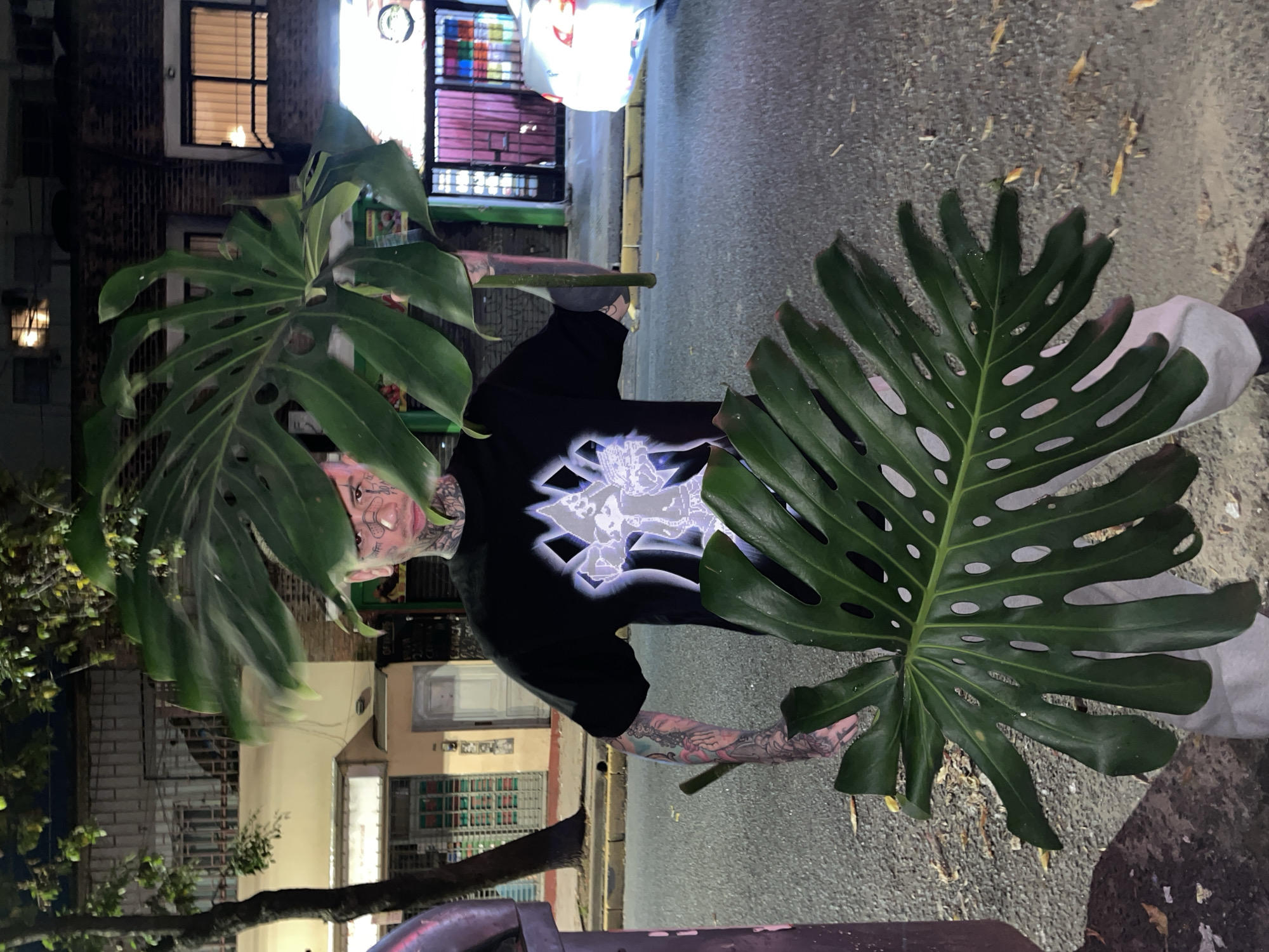 The image features a person standing on an urban street at night, holding two large, vibrant green Monstera deliciosa leaves. The individual has extensive tattoos on their face, neck, and arms, and is wearing a black t-shirt with a glowing white graphic design on the chest. They are positioned as if posing for a photograph, with the large, fenestrated leaves prominently displayed on either side of their body.
The scene is set on a city street, consistent with the provided context of Buenos Aires, Argentina. In the background, there are multi-story buildings constructed of brick, with windows that show internal lighting or blinds. Some windows emit a soft, colorful light. The time of day is clearly night, indicated by the overall darkness punctuated by artificial light sources from buildings and streetlights. The ground is a paved surface, appearing somewhat damp and scattered with small debris. A tree trunk is partially visible in the lower left foreground. The atmosphere is urban and contemporary, highlighting a striking contrast between the natural Monstera leaves and the man-made environment. No discernible text is clearly legible on any visible objects or surfaces.