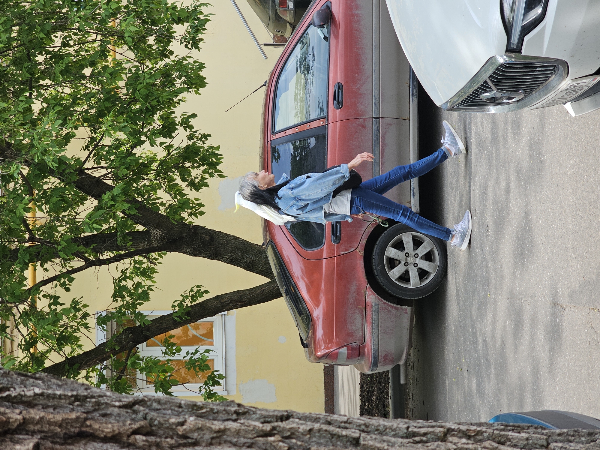 A woman with grey hair stands between two parked cars on a city street in Moscow, Russia. She is leaning against a red van and a white car. She wears a denim jacket, jeans, and light-colored sneakers. A tree with green leaves is to her left, with a yellow building visible behind it. The street surface is asphalt. The foreground shows the bark of a tree.