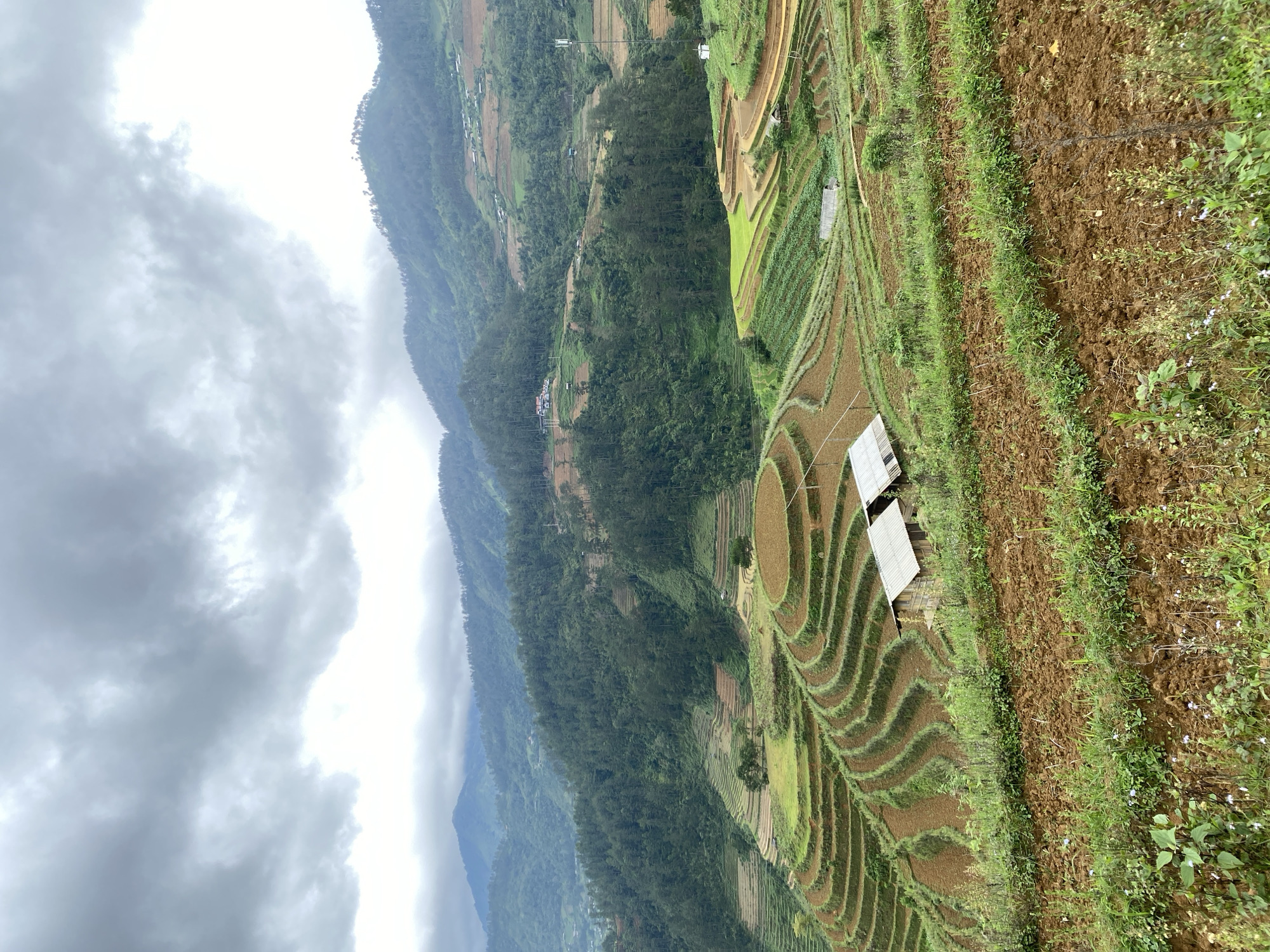 The image presents an expansive, overcast mountainous landscape featuring extensive agricultural terracing in Dế Xu Phình, Vietnam. The sky is largely covered by dense, dark gray clouds, with a brighter white patch visible towards the upper right. Multiple layers of mountains, heavily forested with dark green trees, recede into the hazy distance.
The midground and foreground are dominated by intricate terraced fields, carved into the hillsides. These terraces display varying states: some are vibrant light green, indicating active cultivation, while many others are reddish-brown, representing freshly tilled soil or fallow land. The terraces exhibit distinct curved and concentric circular patterns, adapting to the natural topography. The edges of the terraces are defined by narrow bands of green vegetation.
Within the terraced landscape, several human-made structures are visible. Two small, simple dwellings with light-colored, possibly metal, roofs are situated in the mid-left within a series of brown terraces. Additional scattered small buildings with similar roofs are present on the more distant, forested hillsides. A prominent, tall cellular or communication tower stands on a hillside in the mid-right.
The immediate foreground consists of rugged, reddish-brown soil intermixed with sparse green grasses, weeds, and small white and purple wildflowers. No people or specific human activities are depicted in the scene. The overall lighting is diffused and soft due to the overcast conditions.