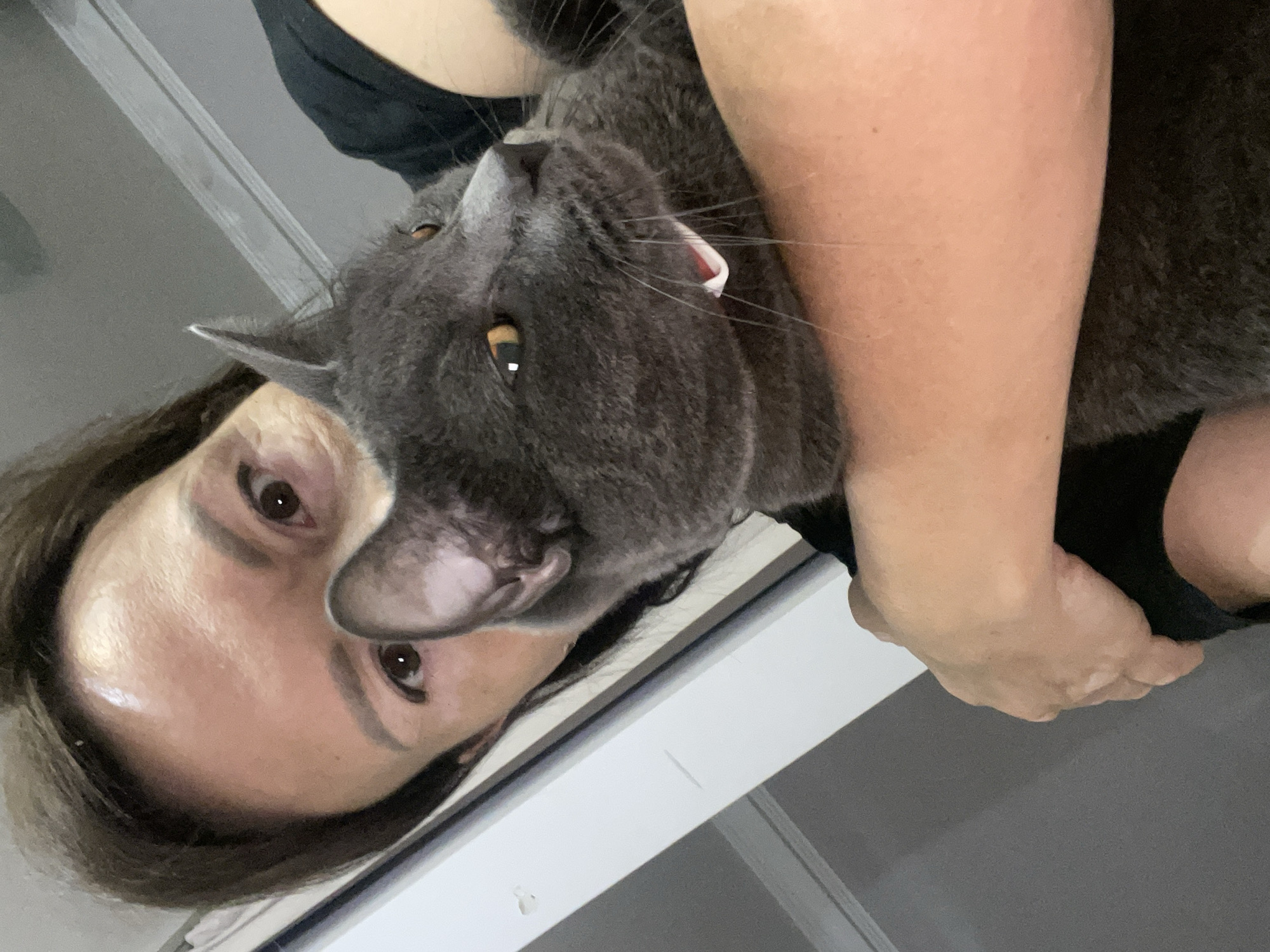 A selfie of a woman holding a gray cat with yellow eyes. The cat has a red tag on its collar. The woman has brown hair and eyes. The background includes a white door frame and a gray wall. There is no information to suggest the location is in Sochi, Russia.