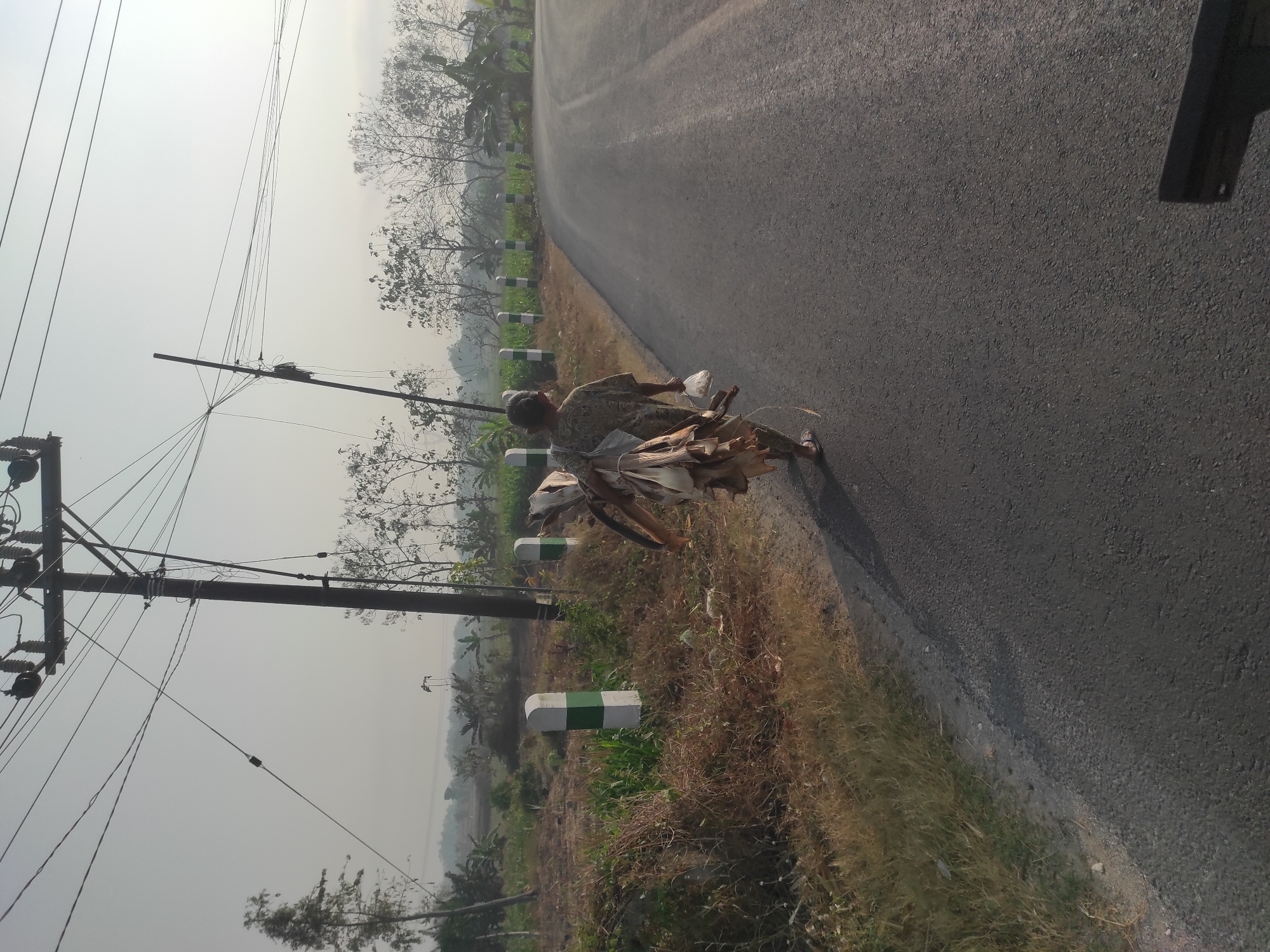 The image depicts a person walking on a paved road in Klepek, Indonesia. The individual is carrying a bundle of dried banana leaves and a plastic bag. The road is bordered by dry grass and vegetation on the left and a curving asphalt road on the right. Several utility poles with numerous wires are visible in the background, along with sparse trees and a hazy sky. Two white and green striped posts are also present along the side of the road. The scene suggests a rural or semi-rural environment.