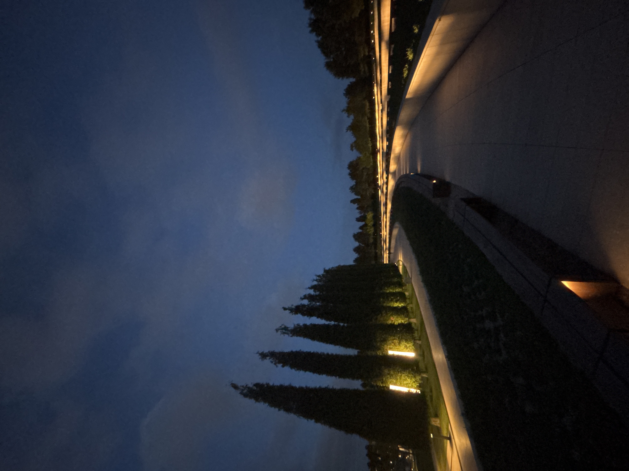 The image depicts an outdoor park or memorial area in Krasnodar, Russia, at dusk or night. The sky is a deep blue with some light cloud cover. A curved pathway made of light-colored paving stones dominates the foreground and middle ground, illuminated by soft, warm lighting. To the left of the pathway, there is a row of tall, conical trees, likely cypress or juniper, spaced evenly and lit from below by bright, vertical yellow lights. Adjacent to the pathway is a dark green lawn or garden area. Further into the scene, the pathway curves around a series of tiered walls that are also illuminated with warm light, creating a layered effect. The background shows a line of trees, suggesting a forested or landscaped area surrounding the park. There are no people visible in the image. The overall atmosphere is serene and reflective, with the artificial lighting creating a dramatic and inviting ambiance.