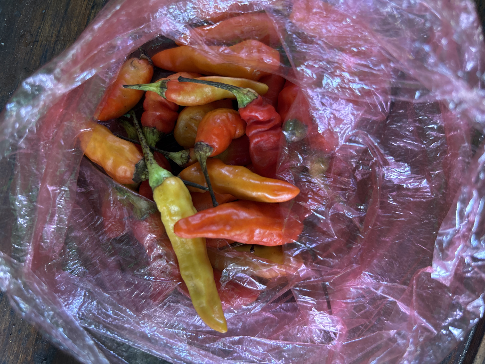 A top-down view shows a pile of fresh red and yellow chilies, some appearing unripe and green at the stem, contained within a translucent pink plastic bag. The chilies vary in size and shape, with some being elongated and others more conical. The bag is placed on a dark, textured surface, possibly wood. The lighting casts highlights and shadows on the wrinkled plastic and the shiny skin of the chilies, suggesting it is an indoor setting or a shaded outdoor area. There is no indication of the specific location within Bareng Lor, Indonesia.