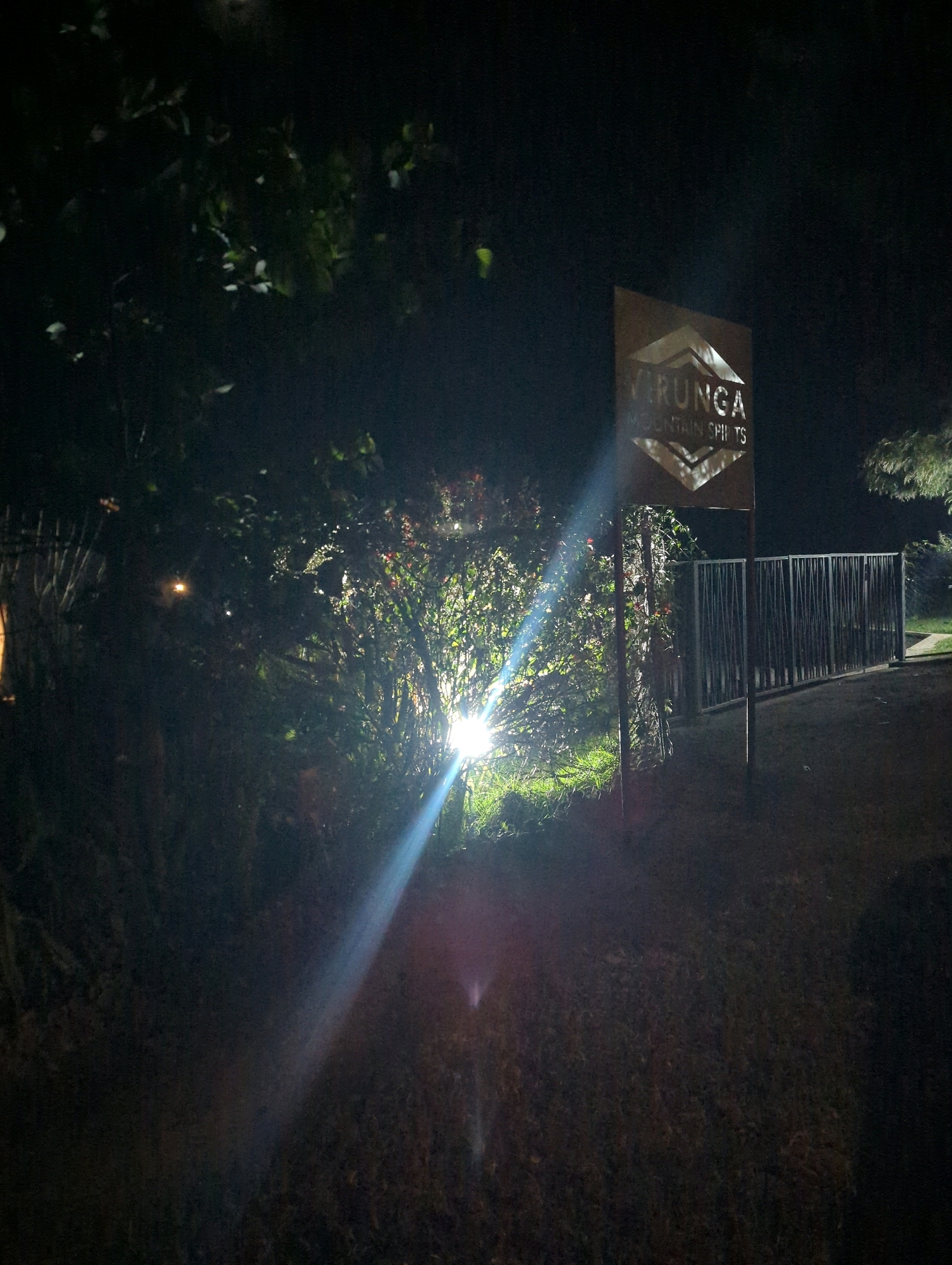 A sign for "VIRUNGA MOUNTAIN SPIRITS" stands illuminated by a bright light on the left side of the image. The sign is dark brown and features a geometric design with the name of the establishment. To the right of the sign, a dark metal fence is visible. Lush green vegetation is present on the left, with a spotlight intensely illuminating a bush. The scene appears to be outdoors at night, possibly in Musanze District, Rwanda, given the mention of "Virunga" which is a mountain range in that region. The ground is covered with grass and some dark soil.