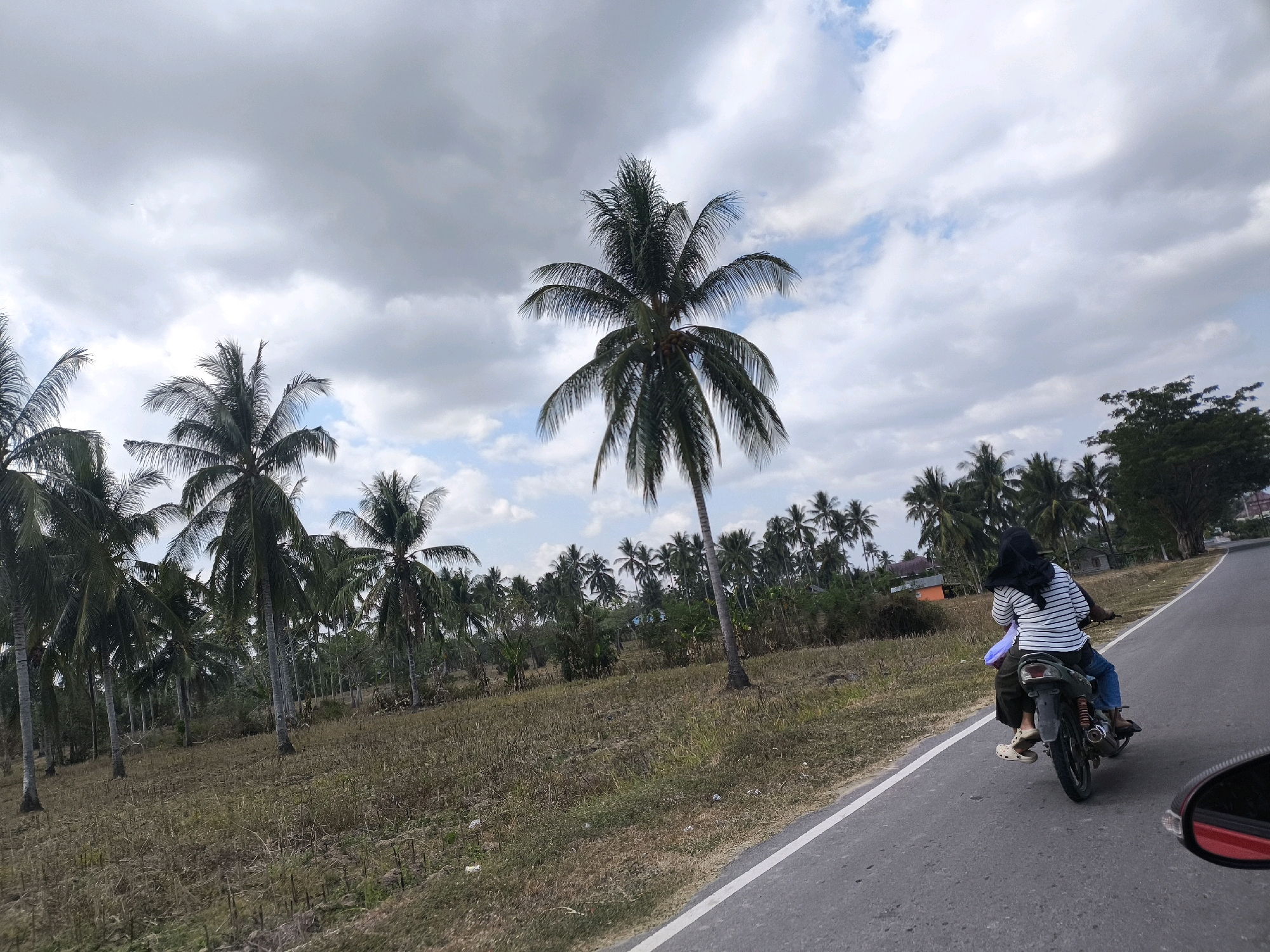 In the city of Sido Mukti, Indonesia, on a paved road with a white line marking, a motorcycle is traveling away from the viewer. The motorcycle is dark green and has a license plate obscured by dirt. A person wearing a black hijab and a horizontally striped shirt is driving the motorcycle. A passenger, also wearing a headscarf and dark clothing, is seated behind the driver. The passenger is carrying a blue plastic bag. The motorcycle is leaning to the right, suggesting it is in motion.
The surrounding environment is characterized by a field of dry, sparse vegetation and numerous coconut palm trees. The sky is overcast with large, textured clouds, hinting at a humid or potentially rainy day. In the background, a few small buildings can be seen amidst the trees. The road curves to the right, disappearing into the distance. A portion of a red rearview mirror is visible in the bottom right corner of the frame, indicating the perspective is from another vehicle.