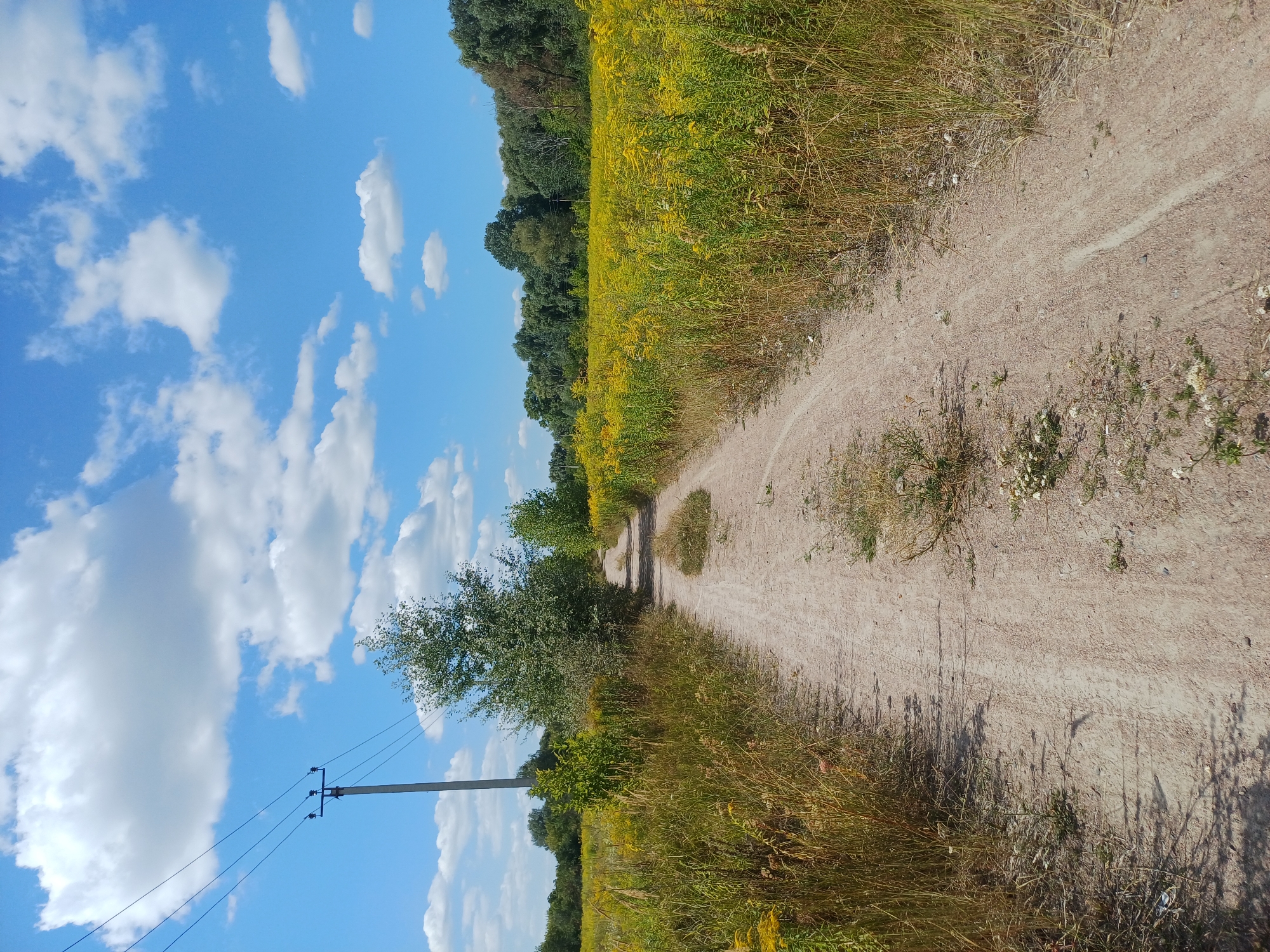 A dirt road leads through a field of yellow flowers and tall grass under a bright blue sky with white, fluffy clouds. A single power pole with multiple wires stands on the left side of the road. Trees line the horizon in the background. The scene is set in Sulymivka, Ukraine.
