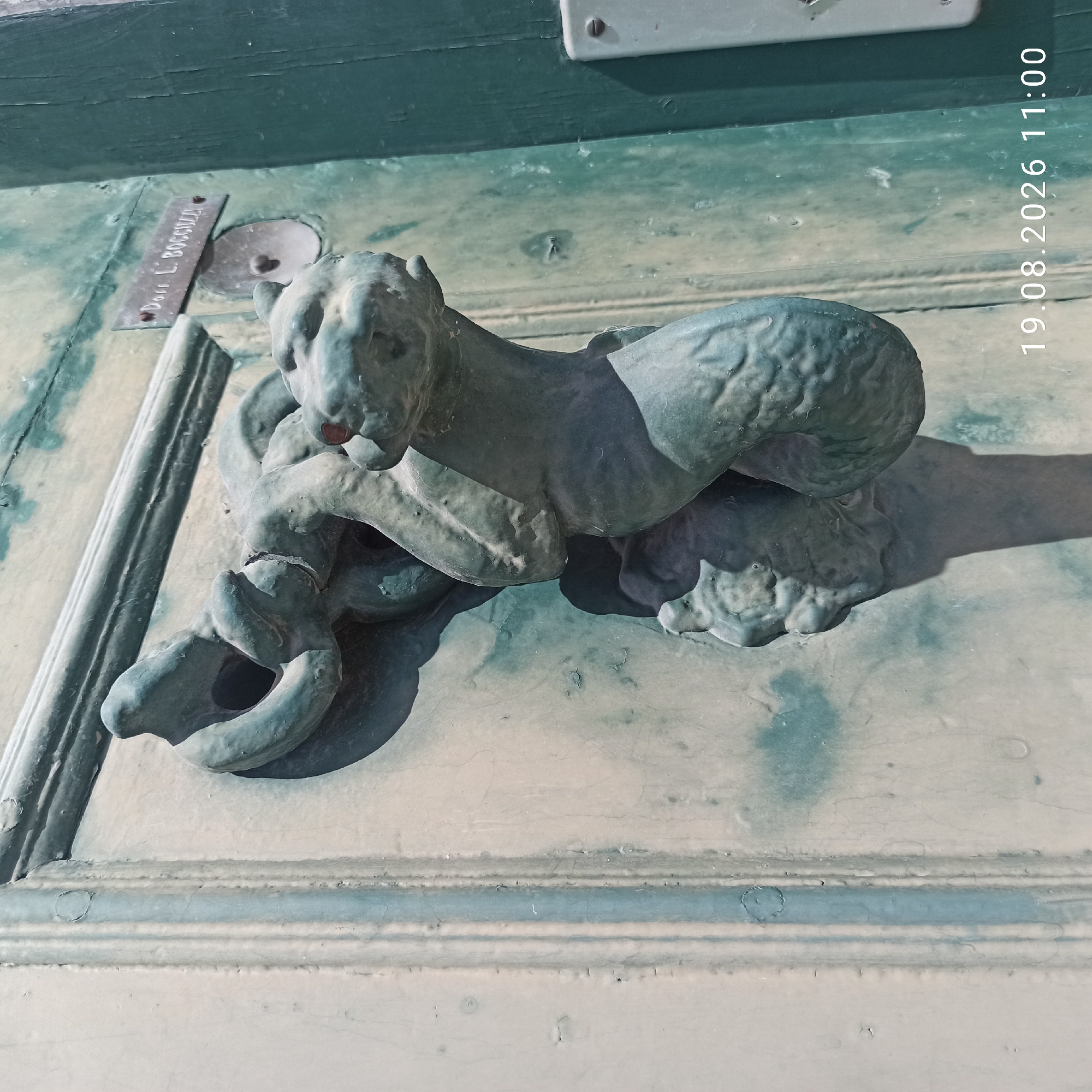 The image shows a close-up of an ornate, verdigris-patinated metal door knocker, possibly depicting a serpent or dragon, attached to a weathered wooden door in Ruvo di Puglia, Italy. The door is painted in a faded green and light beige color scheme, with visible signs of age and wear, including peeling paint and vertical seams. Above the door knocker, a small metal plaque is visible with the inscription "Dott. L. BOCCUZZA". To the right of the door knocker, a section of a white electrical box is visible. The lower right corner of the image contains a timestamp "19.08.2026 11:00". The lighting suggests it is daytime with bright sunlight casting shadows.