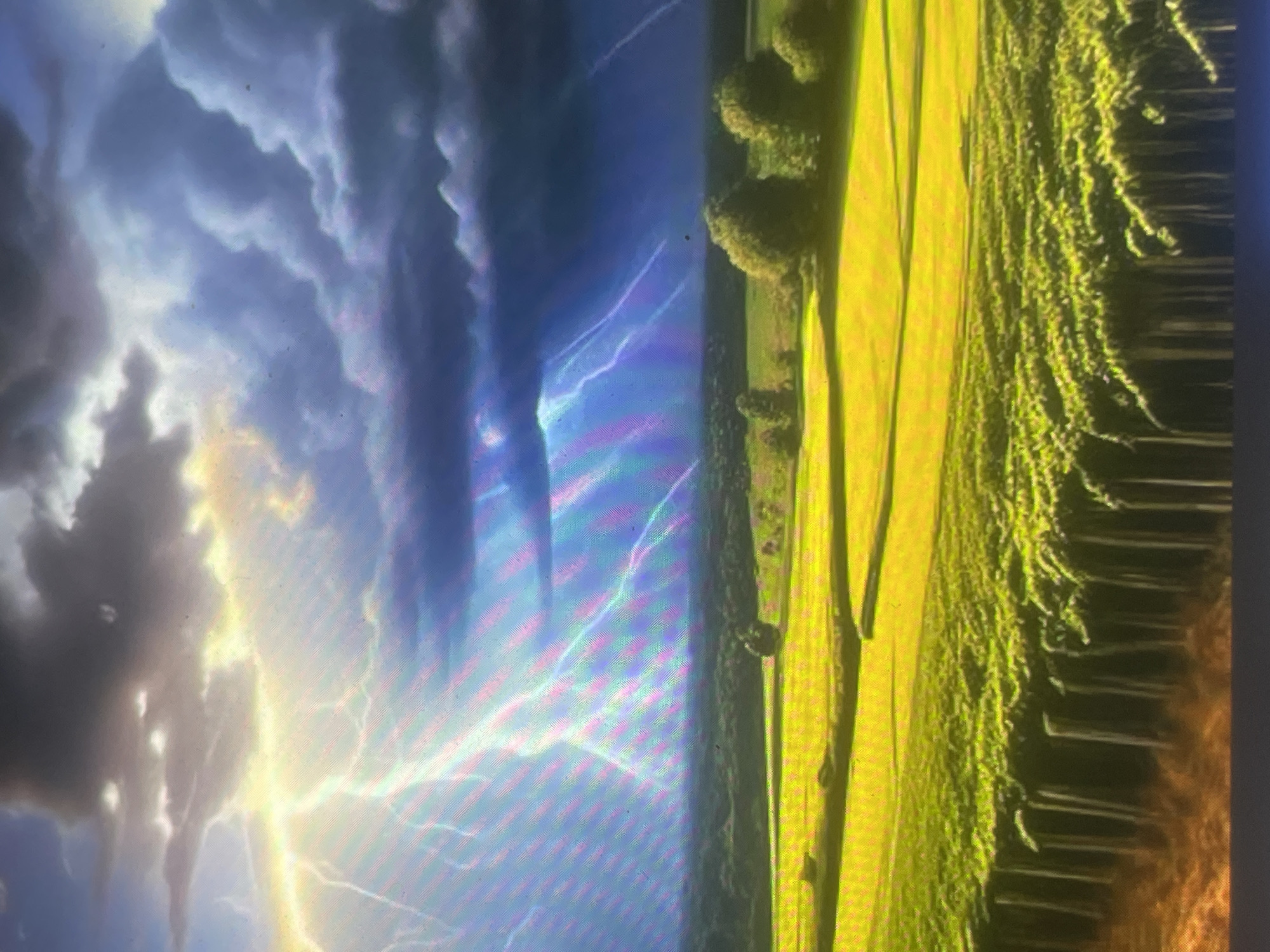 The image depicts an expansive rural landscape under a stormy sky in Zelenyi Hai, Ukraine. The upper portion of the scene is dominated by dense, dark gray and blue clouds on the right, transitioning to brighter, illuminated clouds on the left. Numerous lightning bolts, appearing white and light blue with distinct rainbow-colored chromatic aberration artifacts, strike across the sky, primarily on the left and central areas. A bright yellow light emanates from behind the left-most cloud formation, suggesting a light source interacting with the storm.
Below the tumultuous sky, a distinct horizon separates the atmosphere from the terrestrial landscape. A dark green band of distant trees or forest runs horizontally across the midground. Below this treeline, the landscape consists of cultivated fields. The fields immediately below the distant trees are a vibrant yellow-green, appearing flat and broad, with subtle variations in tone. Several clusters of rounded, dense green trees are scattered within these yellow-green fields. In the foreground, a distinct field displays rows of dark vertical supports with bright green foliage draped over them, consistent with a vineyard or trellised crop. No people, animals, or direct actions are visible. The image exhibits a prominent diagonal line pattern, characteristic of moiré or screen artifacts, particularly in the sky.