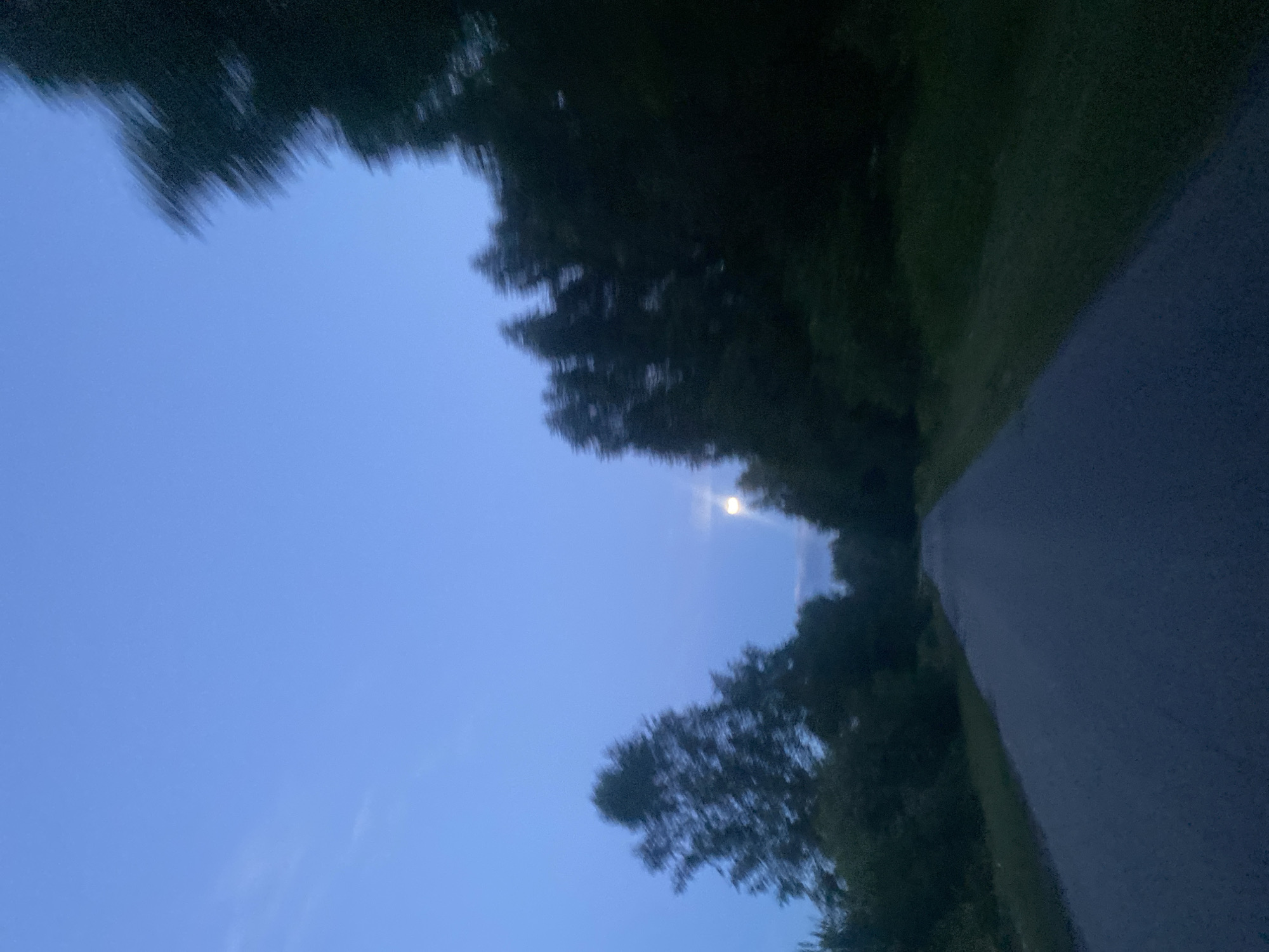 The image captures a blurry, low-light view of a paved road stretching into the distance, flanked by trees. The sky is a deep, dusky blue, suggesting either dawn or dusk. A faint, round object, possibly the moon or a distant light source, is visible in the upper center of the frame, partially obscured by trees. The trees on either side of the road are dark and indistinct due to the low light and motion blur, giving the impression of movement. The overall scene is dark and somewhat desolate, with the road appearing to lead into a wooded area. No people or specific landmarks are identifiable. The location is stated to be Yablonnoe, Russia, though no visual cues within the image itself confirm this.