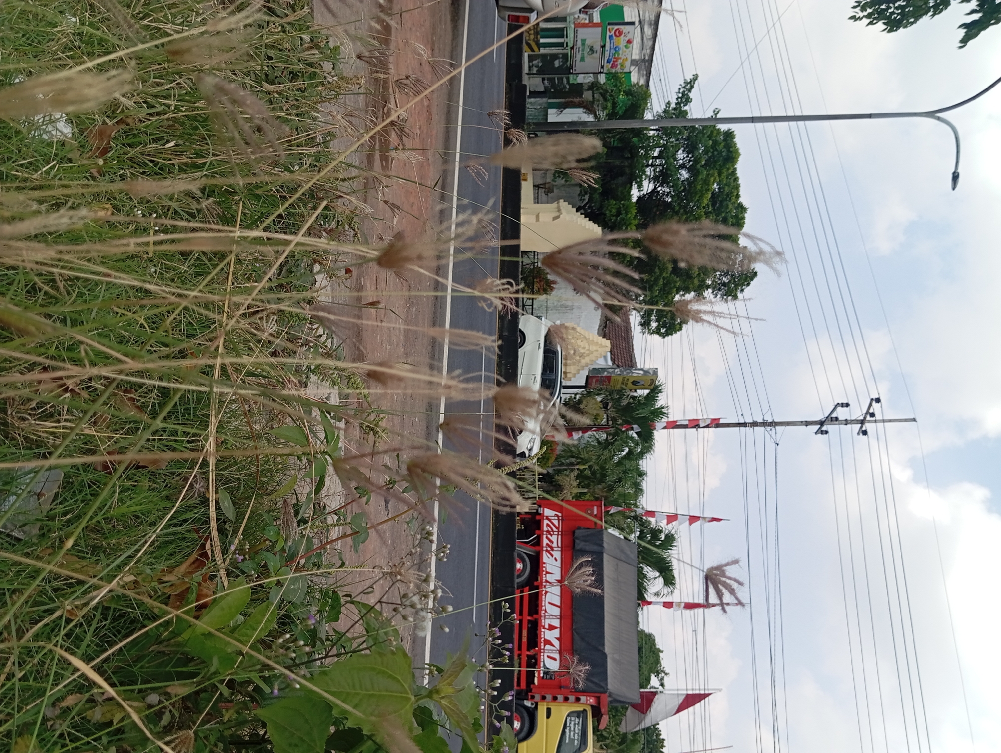 The image depicts a roadside scene in Lemahbang, Indonesia, under an overcast sky. In the foreground, tall, dry grass stalks and green foliage dominate the lower portion of the frame. Beyond the vegetation, a two-lane asphalt road runs horizontally across the image. A white car is visible in the middle ground, stopped on the road. To the right of the car, a red and yellow truck with a black tarp-covered bed is parked, displaying red and white Indonesian flags attached to its sides. In the background, there are buildings, trees, and utility poles with power lines crisscrossing the sky. The overall impression is of a streetscape in a semi-urban or rural area.