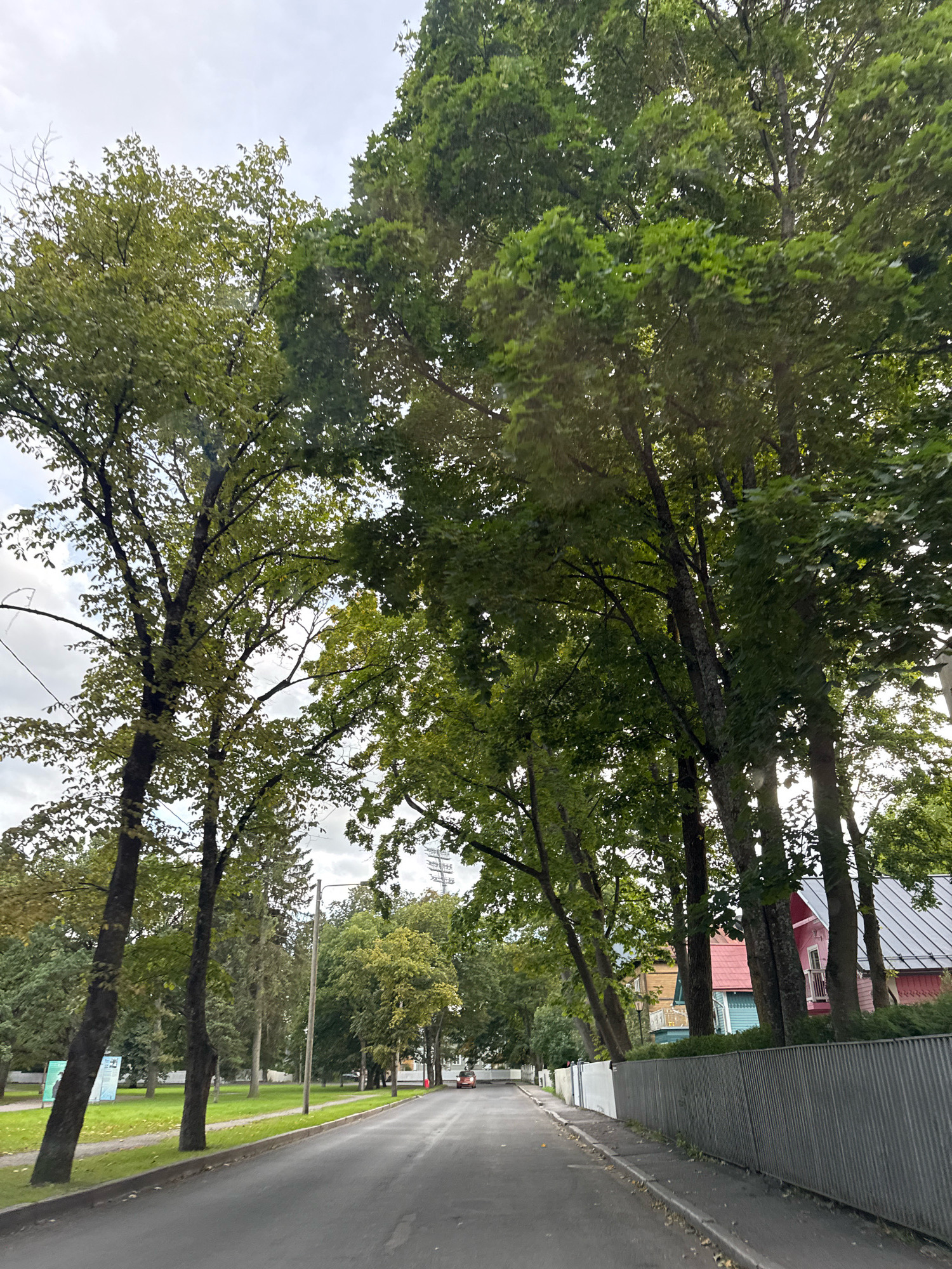 The image depicts a street scene in Tallinn, Estonia. Tall trees with green foliage line the left side of a paved road, casting shadows. The road curves slightly to the right and extends into the distance. On the right side of the road, a grey corrugated metal fence runs along the property line. Behind the fence, colorful houses with pitched roofs are visible, including a pink house with white trim and a red-tiled roof, a teal house, and a yellow house. Several more trees are interspersed among the houses. The sky is overcast with grey clouds. There are no people visible in the image.