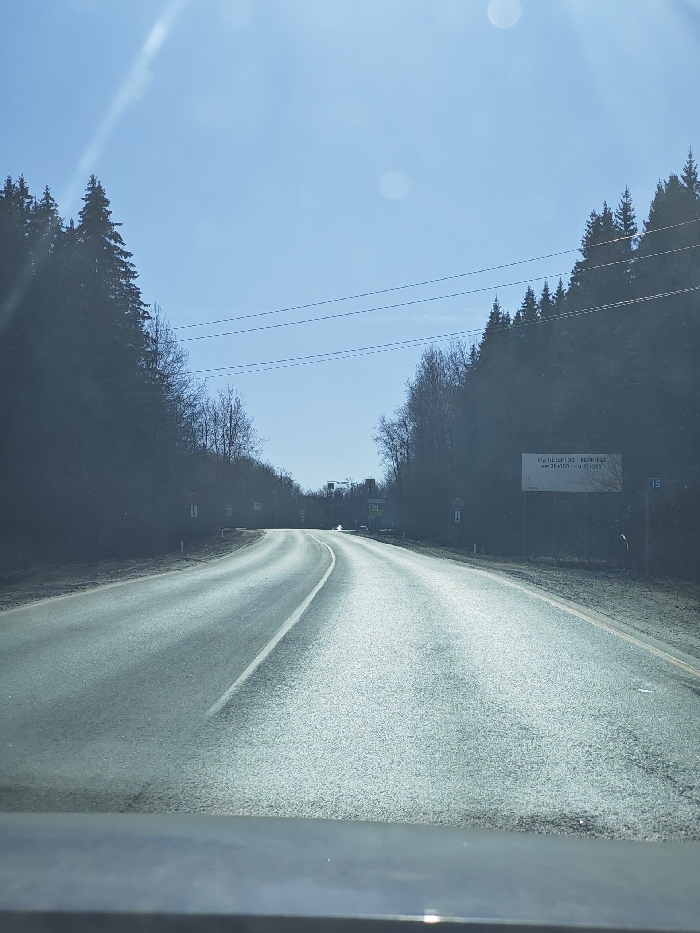 The image displays a straight asphalt road, viewed from inside a vehicle, in Gostilitsy, Russia, under clear blue skies with visible sun glare. The road appears wet or highly reflective from sunlight and features a solid white center line, indicating two lanes. Dense forests, primarily consisting of tall evergreen trees and some deciduous trees with bare branches, line both sides of the road, receding into the distance where the road curves gently to the left. Overhead, multiple thin utility lines traverse the sky horizontally. On the right side of the road, a large white rectangular billboard with Cyrillic text, partially legible as "Уважаемые водители! Ограничьте скорость..." (Dear drivers! Limit your speed...), is prominently positioned. Further down on the right, a blue square sign marked "15" and a circular sign with a red border are visible. On the left side, several indistinct road signs are present in the distance. No individuals or active interactions are depicted.