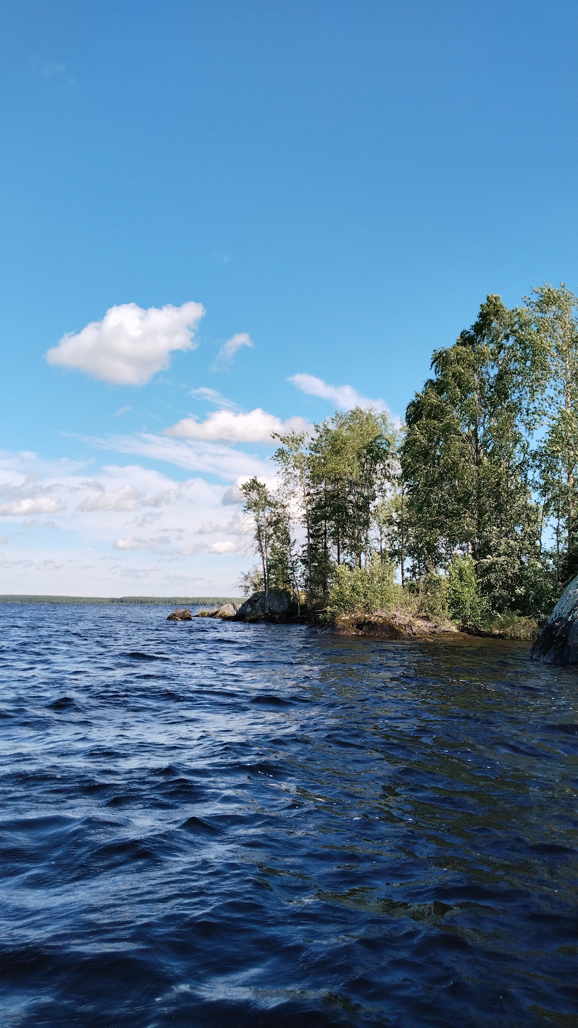 The image shows a natural scene of a body of water, likely a lake or a wide river, with a rocky shoreline and trees. The water is dark blue with visible ripples, suggesting a light breeze. On the right side of the frame, a rocky island or peninsula juts out into the water, covered with dense green trees and some bushes. The trees are tall and slender, with lush green foliage. The sky above is bright blue with scattered white clouds. In the distance, a flat, tree-lined horizon is visible across the water. The scene appears to be a serene, natural landscape, possibly in a rural or wilderness area. The location is identified as Nadvoitsy, Russia, a settlement in the Republic of Karelia, known for its proximity to lakes and forests. There are no people or man-made structures visible in the image.