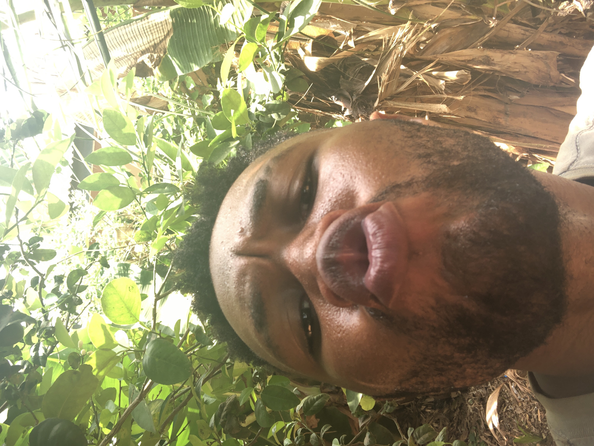 A close-up, tilted shot shows a dark-skinned man with a beard sticking out his tongue. The background includes green leafy foliage and some dried plant matter.