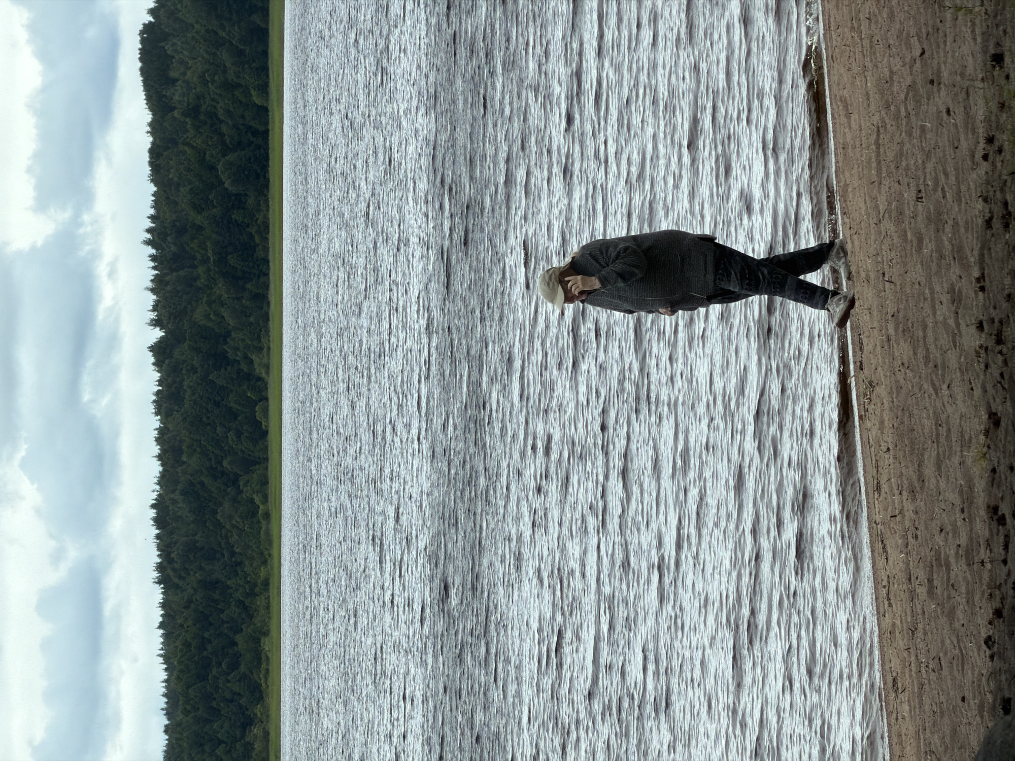 A person walks along the shore of a body of water, talking on a mobile phone. The person is wearing a light-colored baseball cap, a dark patterned jacket, and dark patterned pants. The person is walking from left to right in the frame, with the person's left side facing the camera. The body of water is choppy, with waves lapping at the shore. The shore is sandy, with some debris and sparse vegetation. In the background, a dense line of dark green trees stretches across the horizon, with a cloudy sky overhead. The scene appears to be in a natural, undeveloped area, possibly a park or forest preserve. There is no indication of the specific location within Glubokoe, Russia.