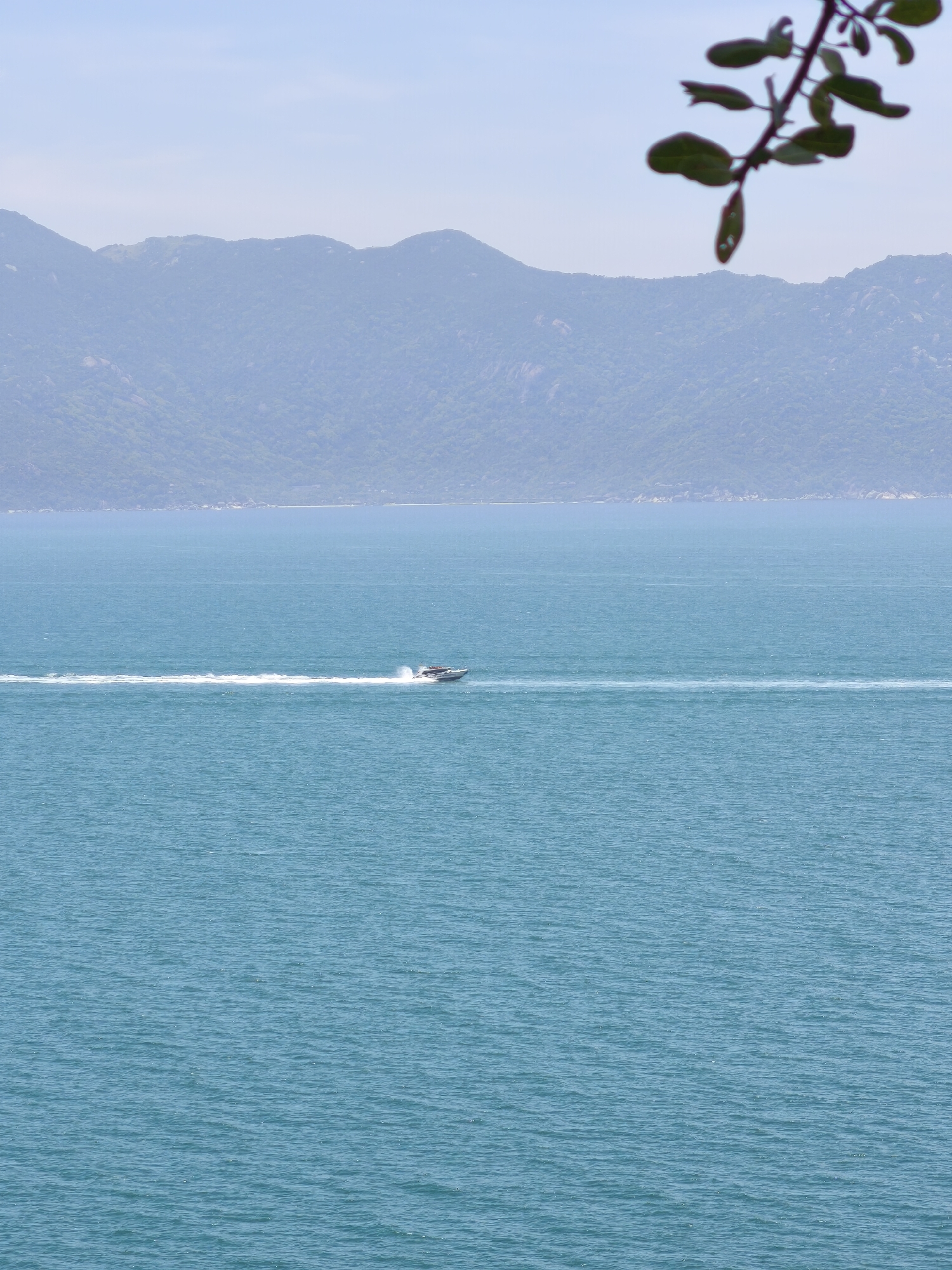 A boat speeds across a calm, turquoise sea, leaving a white wake. In the distance, hazy, tree-covered mountains form the backdrop under a pale blue sky. A leafy branch hangs into the frame from the top right corner, partially obscuring the sky and mountains.