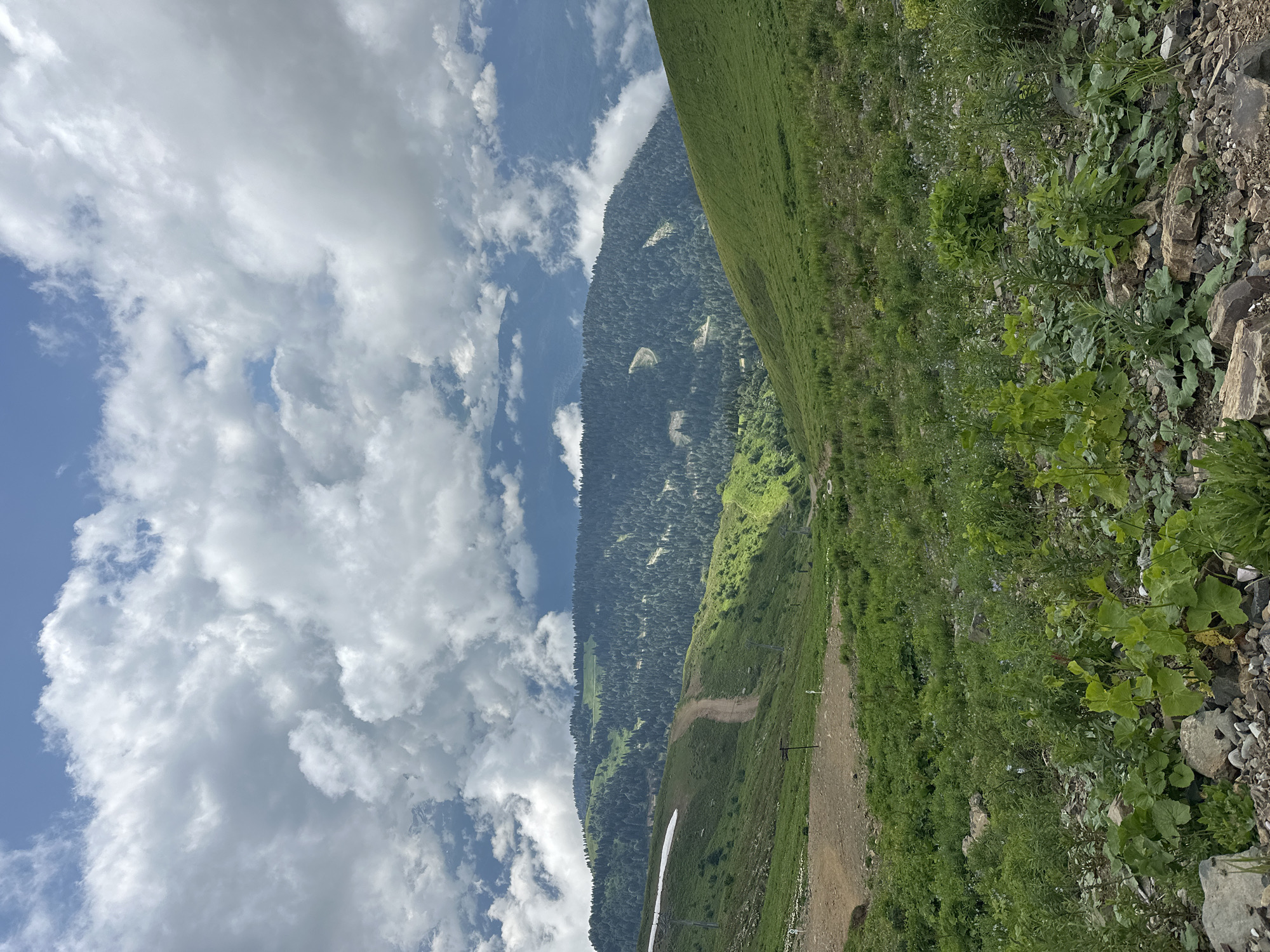 The image shows a scenic mountain landscape under a partly cloudy sky. In the foreground, a rocky slope is covered with lush green vegetation. A dirt path winds its way up the green mountainside, which is dotted with scattered green plants and some patches of bare earth. Further in the background, a dense forest covers the slopes of a large mountain range. The mountains in the distance are partially obscured by clouds. The scene is one of natural beauty and seems to be a location for outdoor recreation, possibly a ski resort in the summer. The location is likely in or near Estosadok, Russia, a resort town in the Caucasus Mountains known for its natural beauty and outdoor activities.