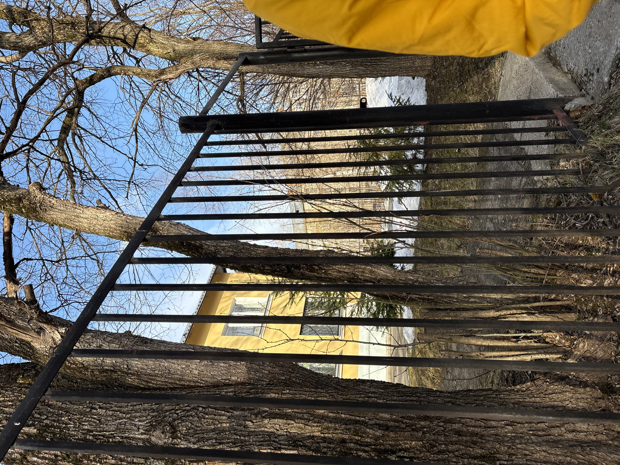 The image depicts a low-angle view through a black metal fence, with a tree appearing to grow through it. In the background, a yellow building is partially visible between the fence bars. The sky is light blue, and bare tree branches are scattered throughout the scene. The ground is covered in dry leaves and some patches of snow. A portion of a yellow garment is visible in the upper right corner of the image. The location is identified as Unknown, Unknown.