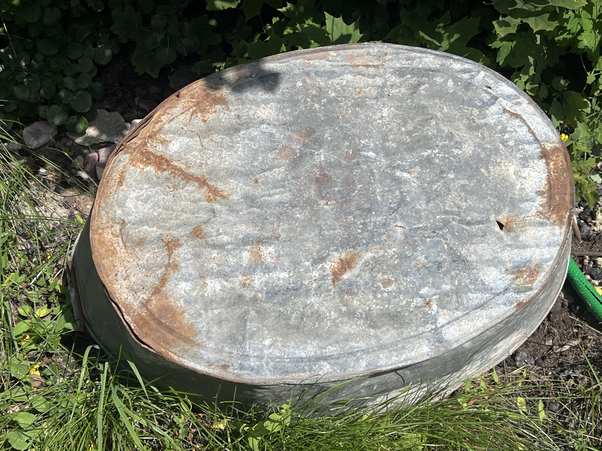 An oval-shaped galvanized metal tub, showing significant signs of rust and wear, sits on the ground amidst green grass and dark soil. The tub is positioned outdoors, with lush green foliage visible in the background. A green garden hose is partially visible on the right side of the image. The lighting suggests it is daytime. The scene appears to be in Norviliškės, Lithuania, as indicated by the provided context. No people are present in the image.