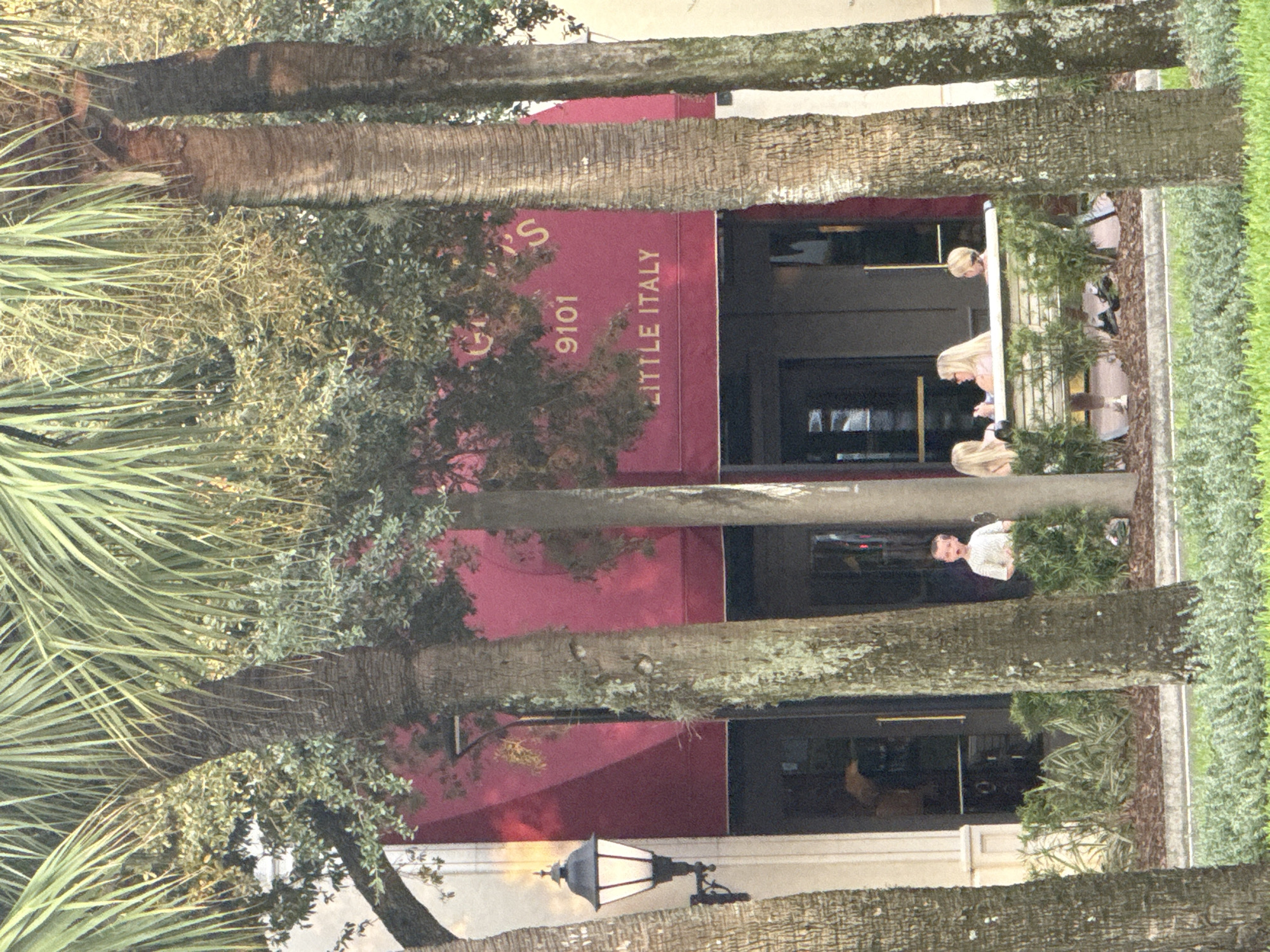 This is an outdoor medium shot photograph taken in Orlando, Florida, of people seated at an outdoor dining area in front of a building with a red awning. In the foreground, there are several palm trees. Behind the palm trees, a young boy stands by a row of bushes, looking toward the camera with his mouth open. Further to the right, three individuals, likely women, are seated on a white bench in front of more bushes. They appear to be engaged in conversation. The building behind them has a red awning with gold lettering that reads "9101 LITTLE ITALY". A traditional-style black lamppost with a lit lantern is mounted on the building to the left. The lighting suggests it is daytime, with sunlight casting shadows.