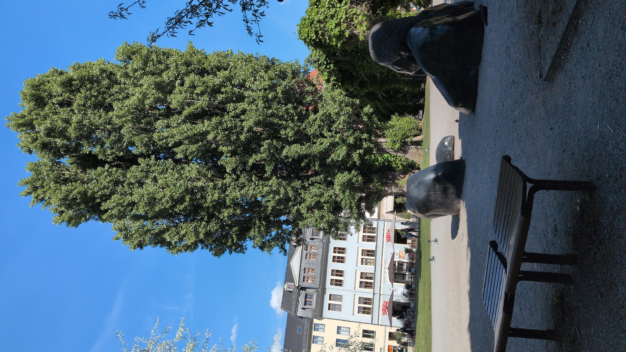The image, taken in Weimar, Germany, depicts a park scene on a bright, sunny day. Dominating the left side is a large, lush green tree with a dense canopy. In the background, a multi-story building with light blue and yellow facades is visible, featuring numerous windows. The building appears to be a restaurant or café, with outdoor seating and umbrellas in front.
In the foreground on the right, a dark-colored park bench sits on a gravel path. To the left of the bench, a large, abstract black sculpture is partially visible. The sculpture is rounded and smooth, resembling smooth stones or organic forms. Further back on the path, another similar dark, rounded sculpture is present. A few pigeons are scattered on the path.
The sky is a clear, vibrant blue with a few wispy white clouds. Sunlight casts shadows, indicating it is likely daytime, possibly midday or early afternoon. The overall atmosphere is serene and suggests a pleasant day for being outdoors in a public space. The presence of the building with outdoor seating implies a commercial area adjacent to the park. The style of the building and the overall setting hint at a European urban park environment. There is some visible text on red and white signs on the building, but it is not legible.