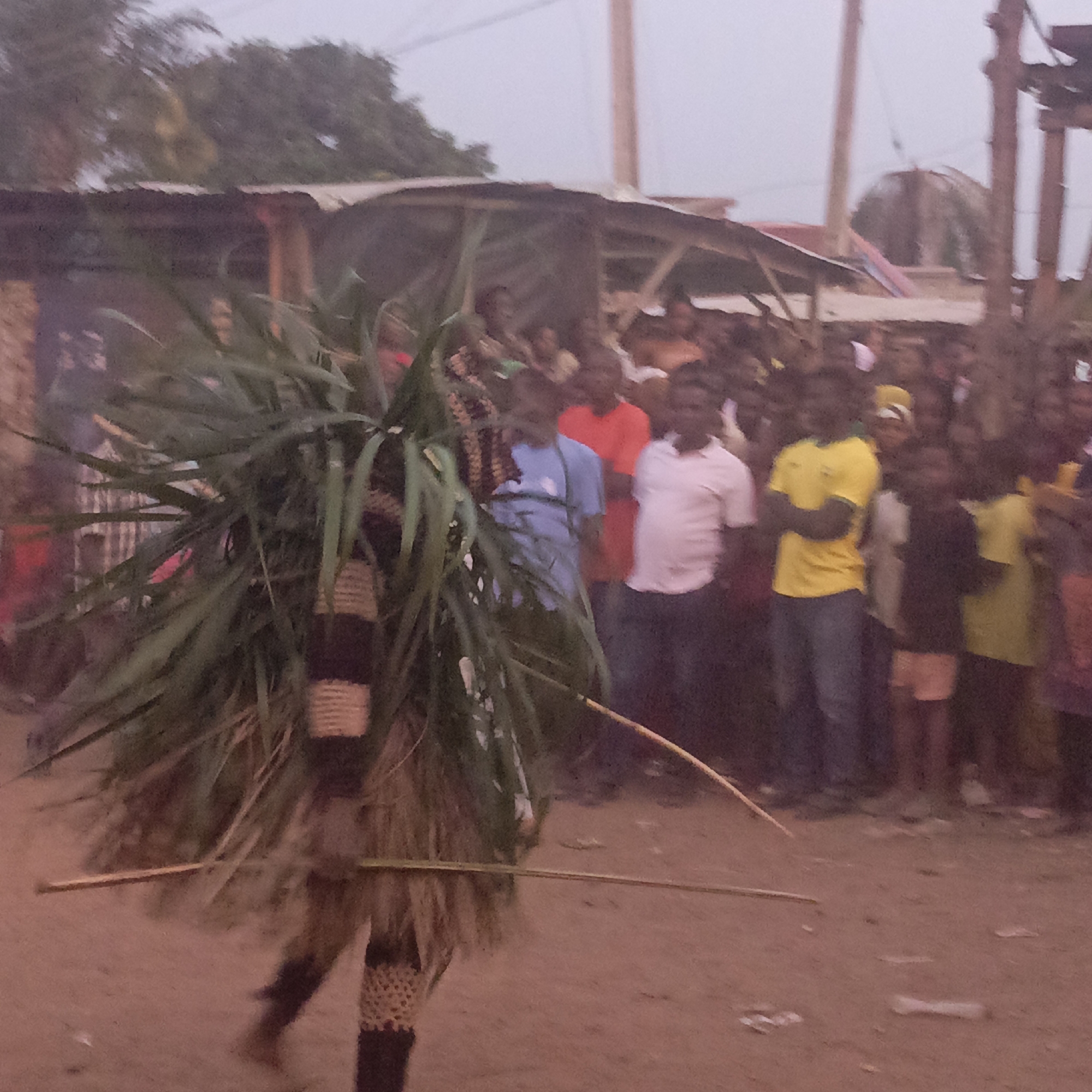 In Akwanga, Nigeria, the photograph depicts a crowd of people gathered in an outdoor area, with structures visible in the background. Dominating the foreground is an individual adorned in a costume of dense vegetation, possibly part of a cultural performance or festival. The person is masked by the foliage, making their identity indiscernible. They hold a long, slender stick. Behind the costumed individual, a crowd is visible, composed of various individuals, some wearing brightly colored clothing. The backdrop includes buildings and poles.